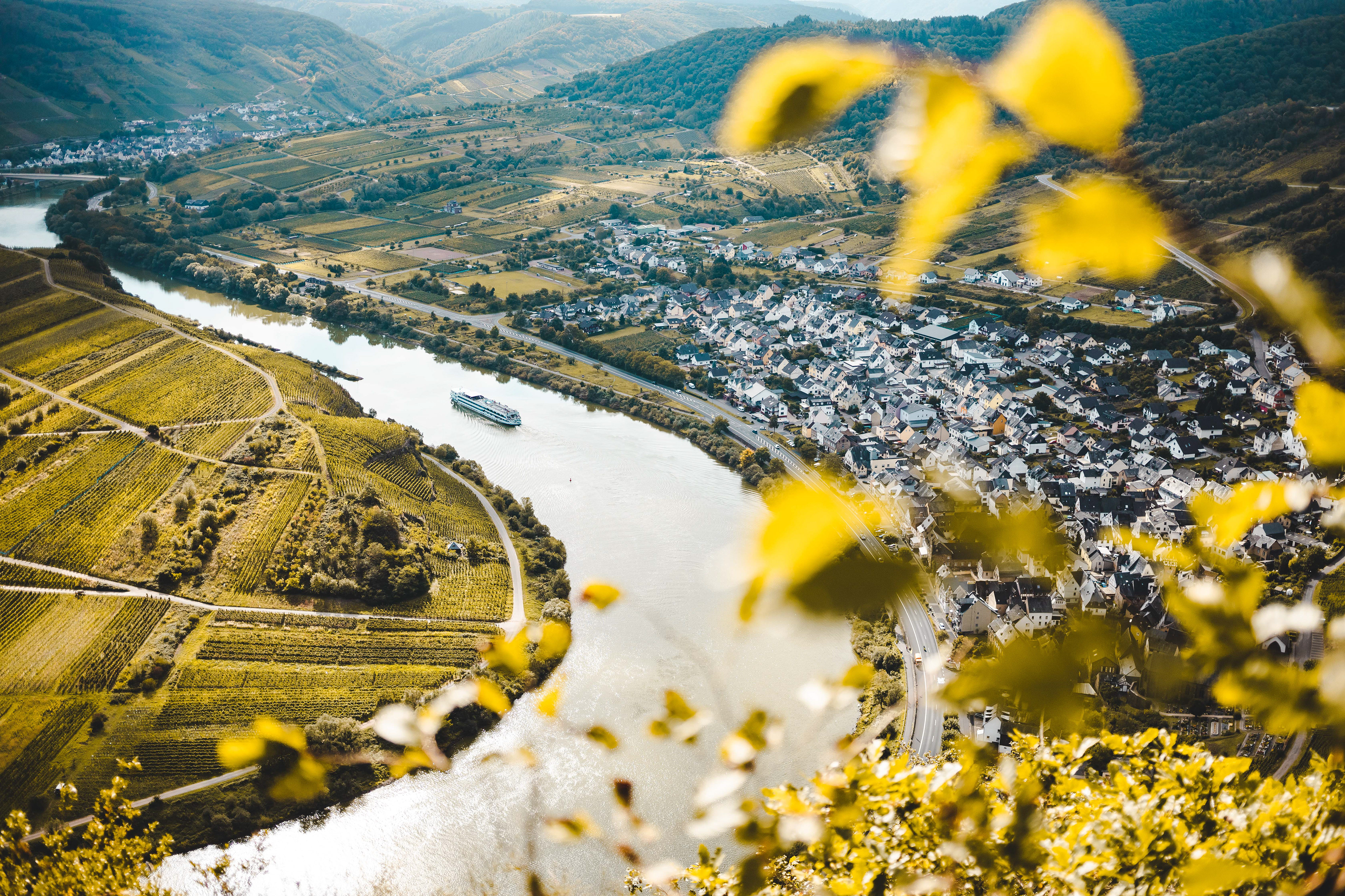 Mosel