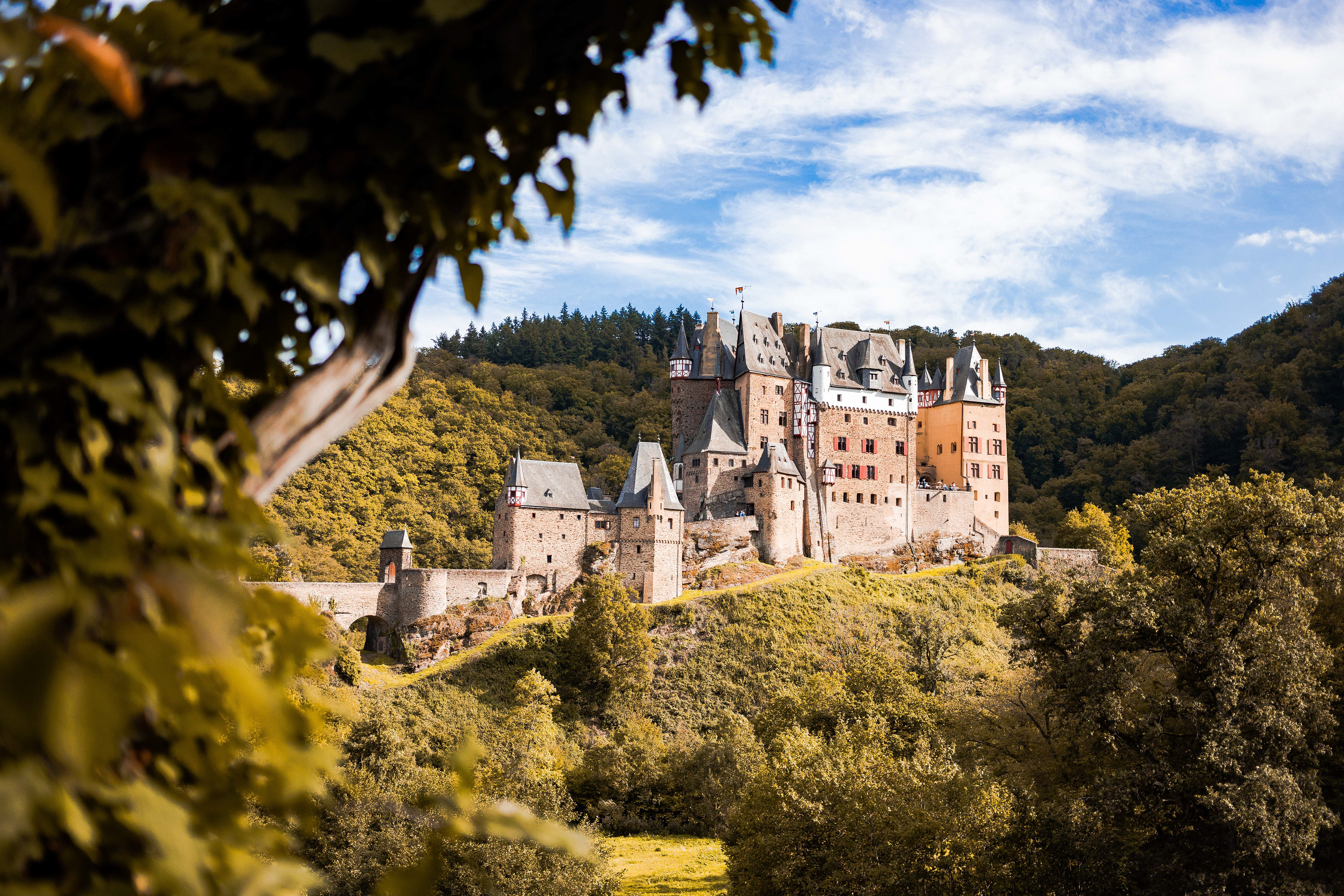 Burg Elz