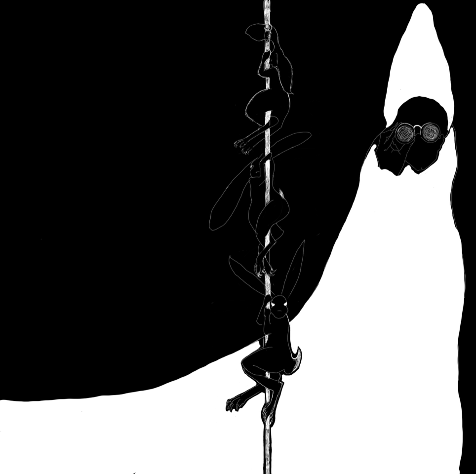 Click to enlarge images