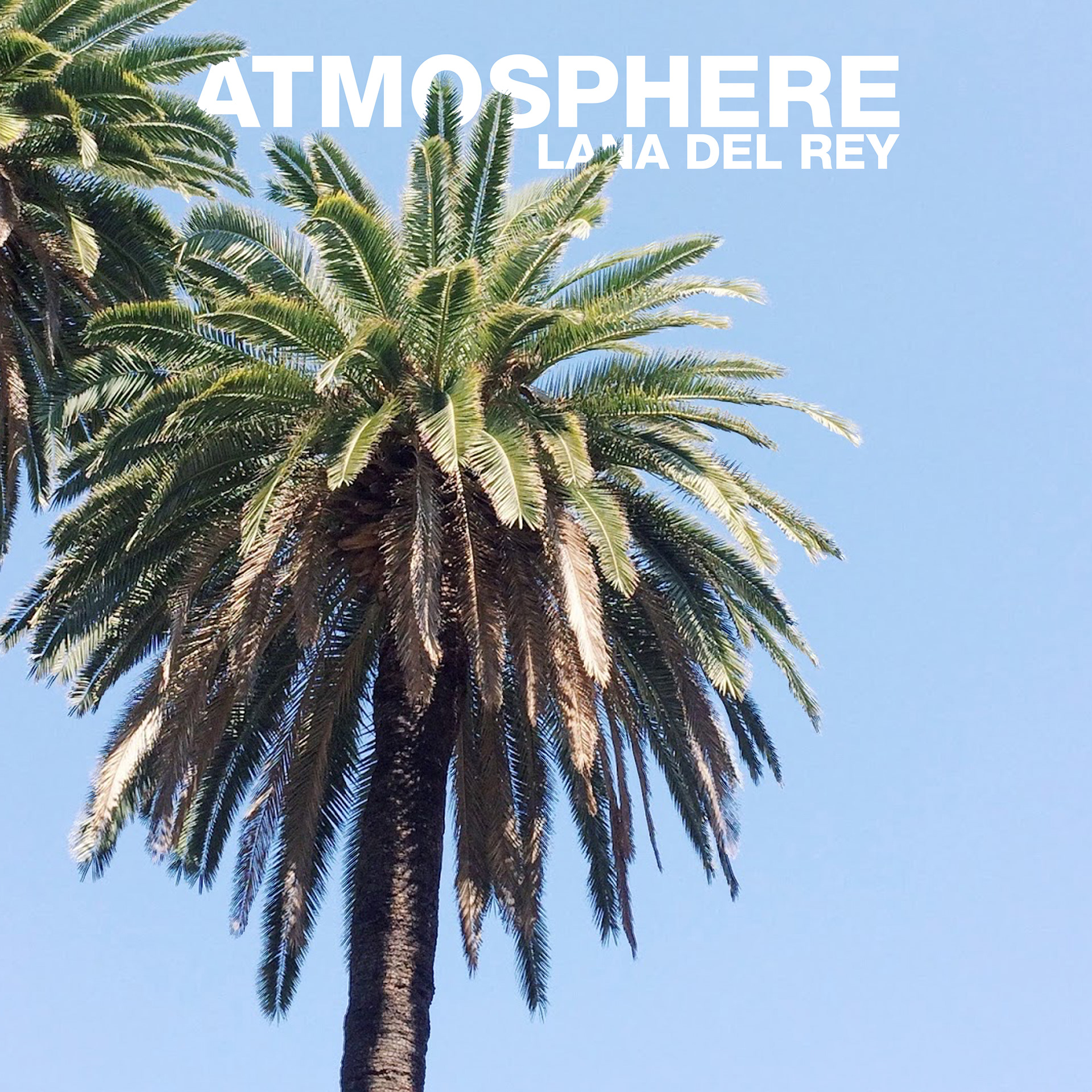 Albumcover