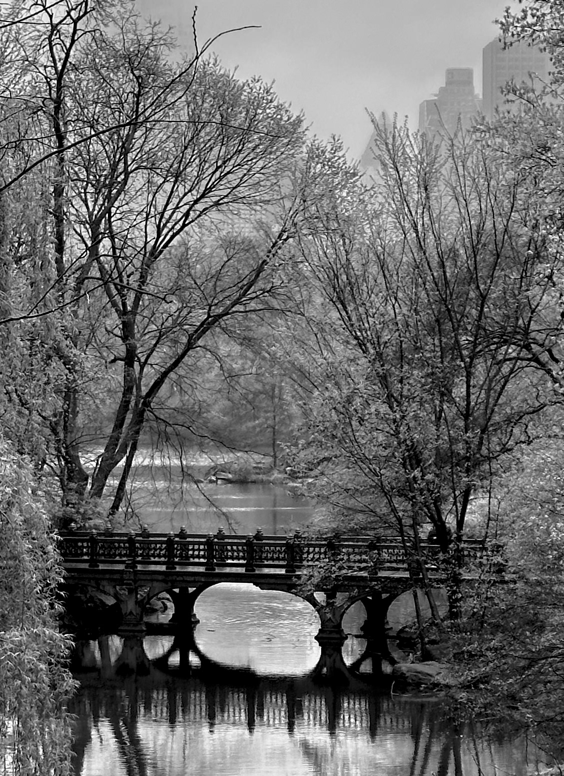 ... and Black & White. Which do you like better.