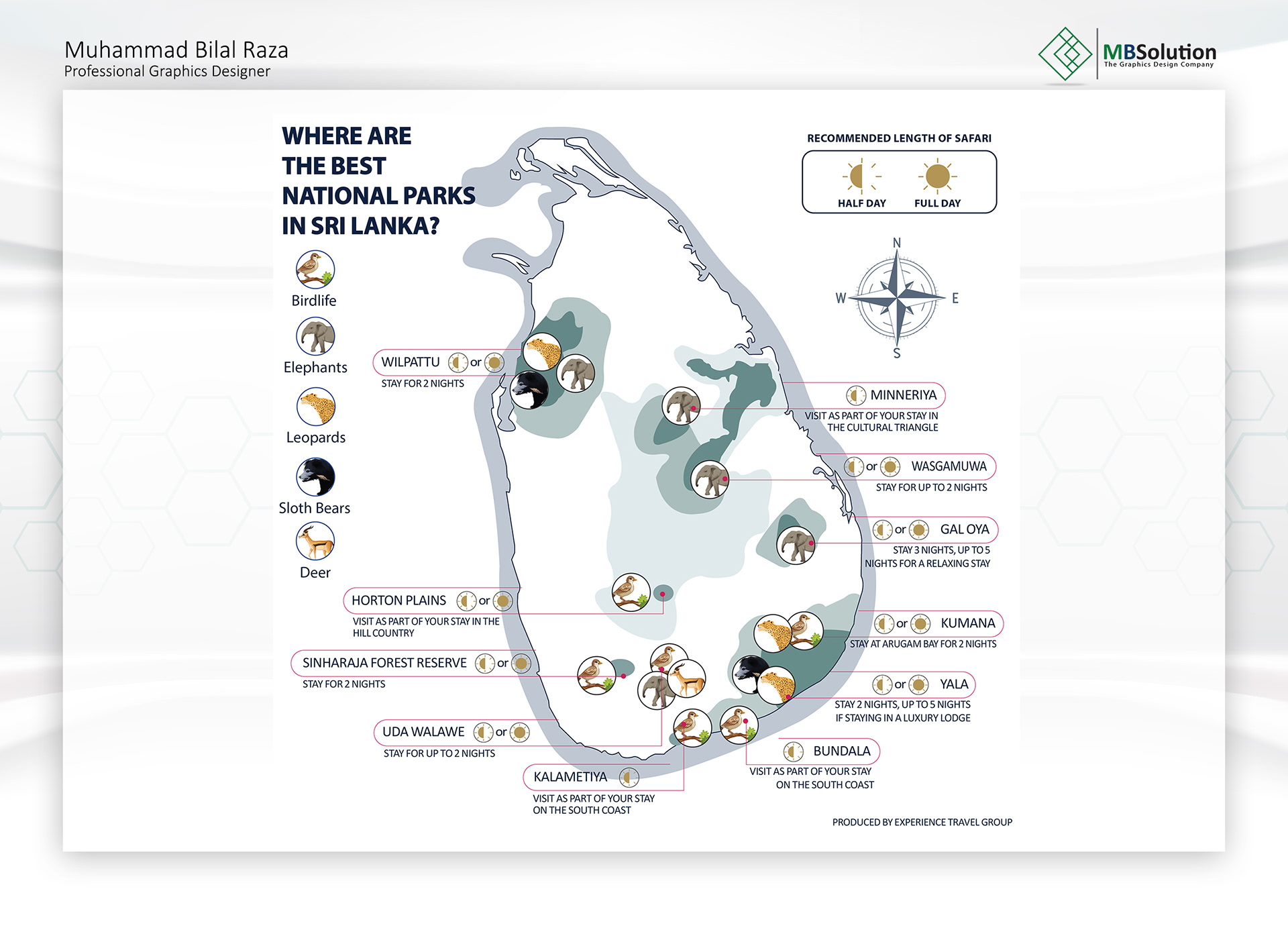 Infographic artwork 4 by Muhammad Bilal