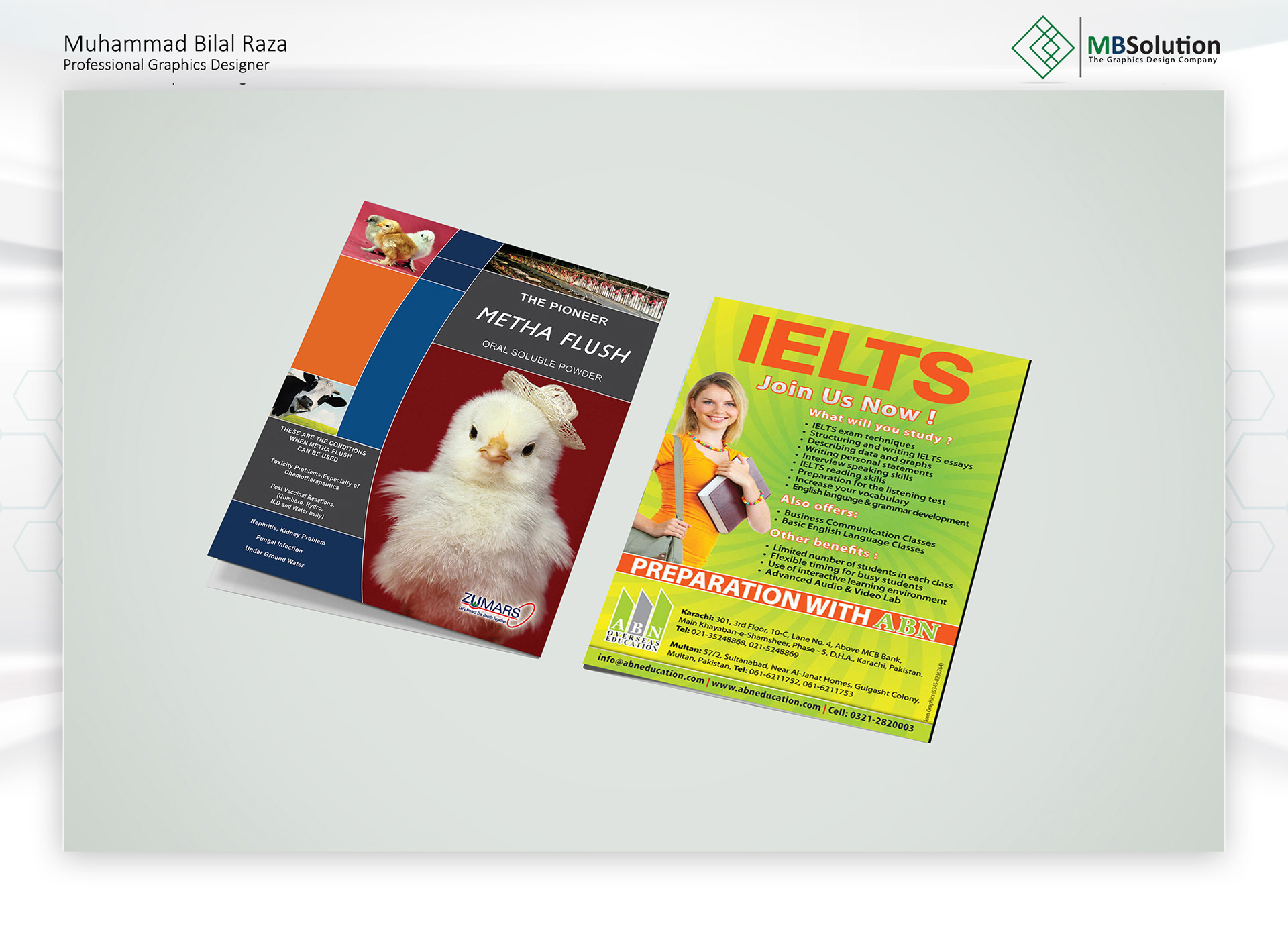 Flyers, Leaflets & Brochures artwork 2 by Muhammad Bilal