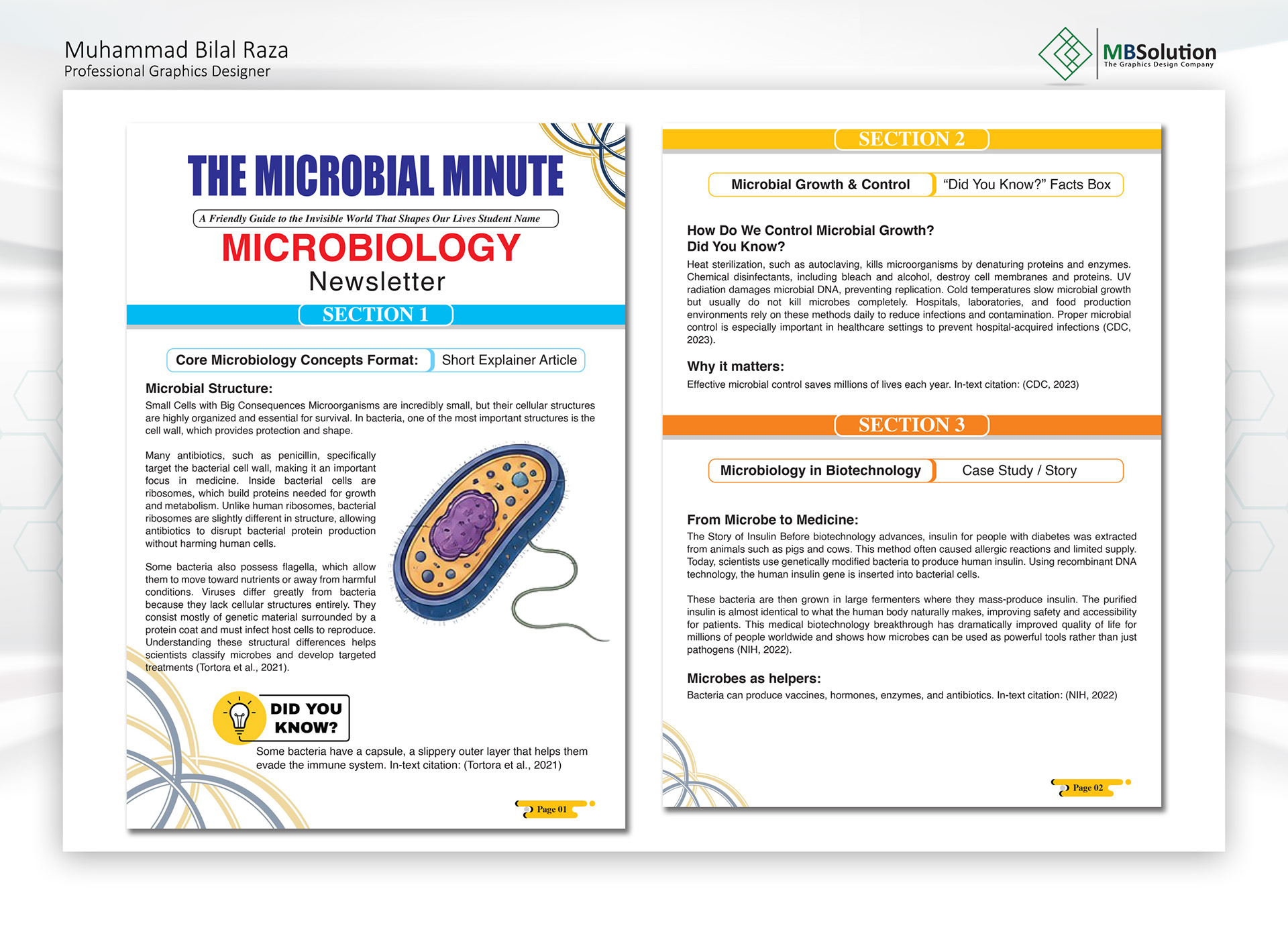 Flyers, Leaflets & Brochures artwork 11 by Muhammad Bilal