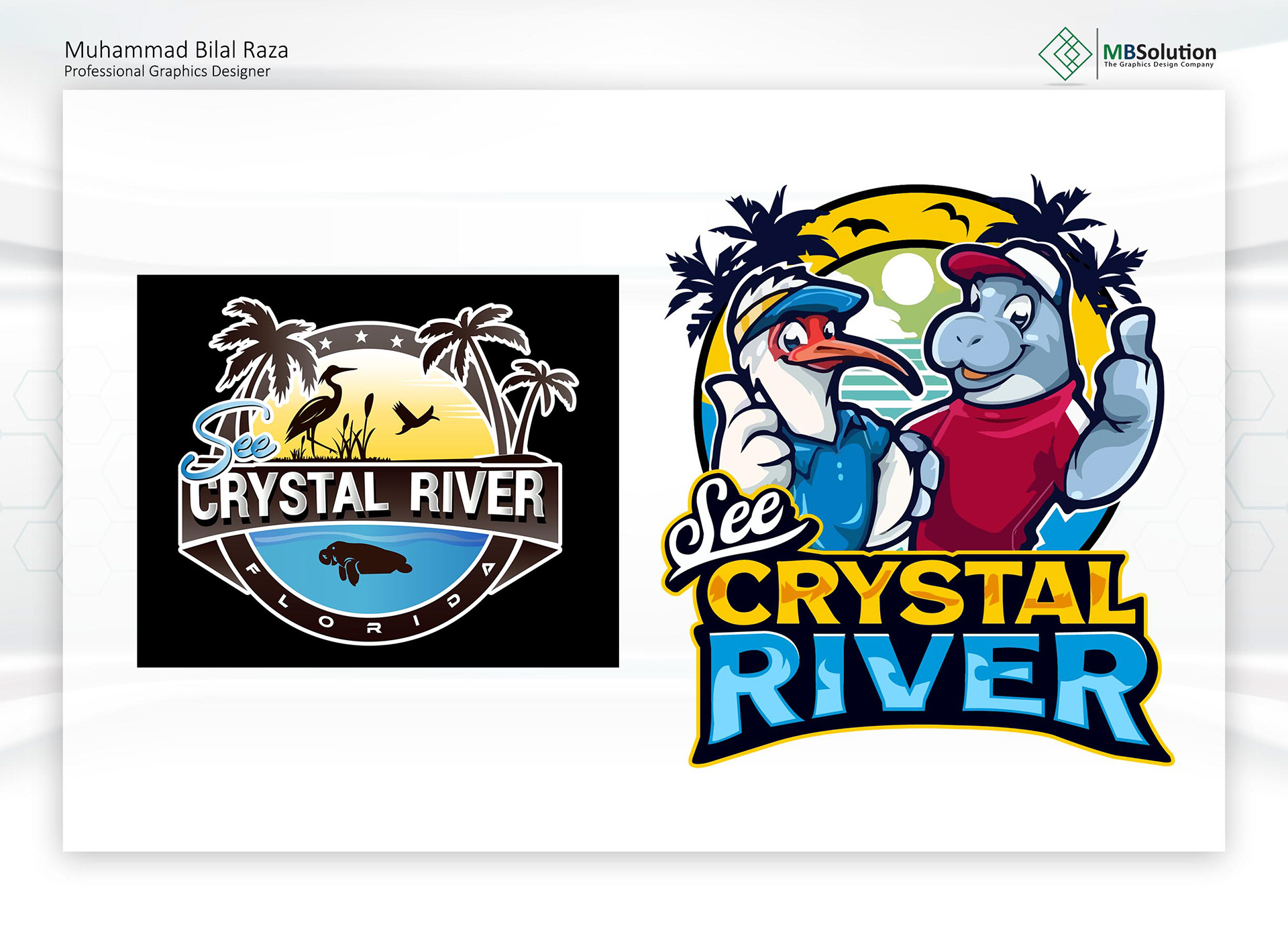 Premium Logo artwork 10 by Muhammad Bilal