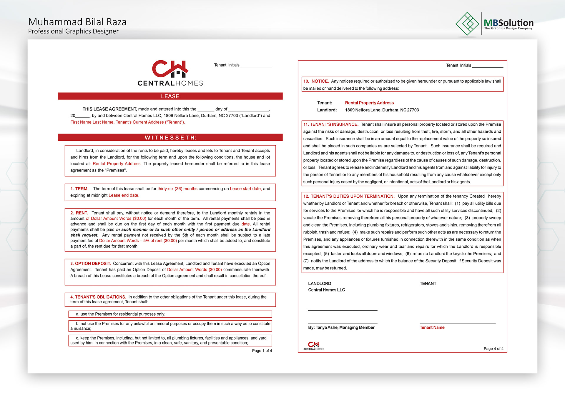CV designs artwork 4 by Muhammad Bilal