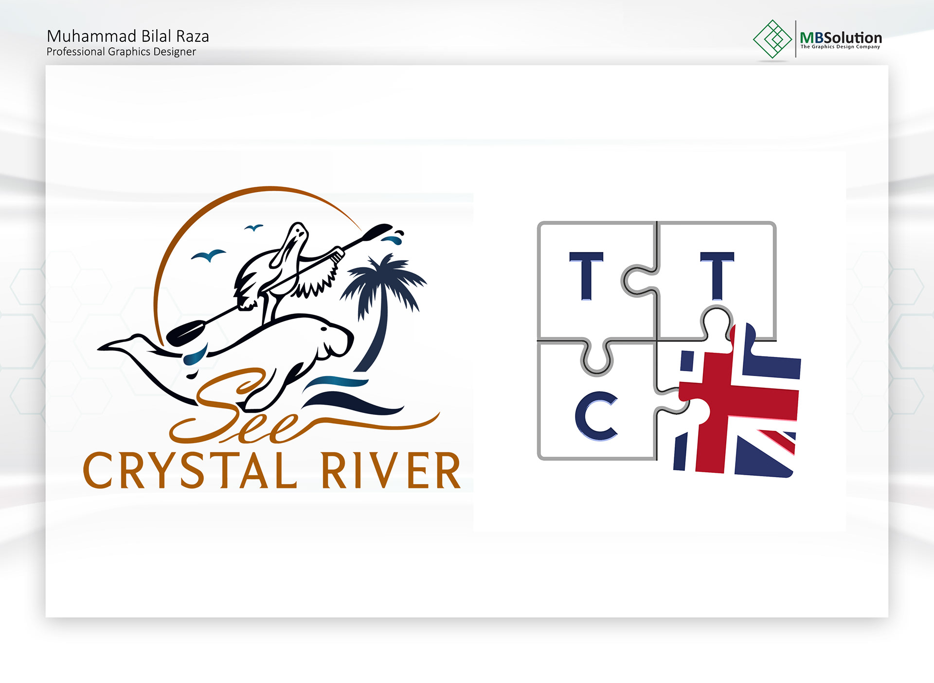 Premium Logo artwork 12 by Muhammad Bilal