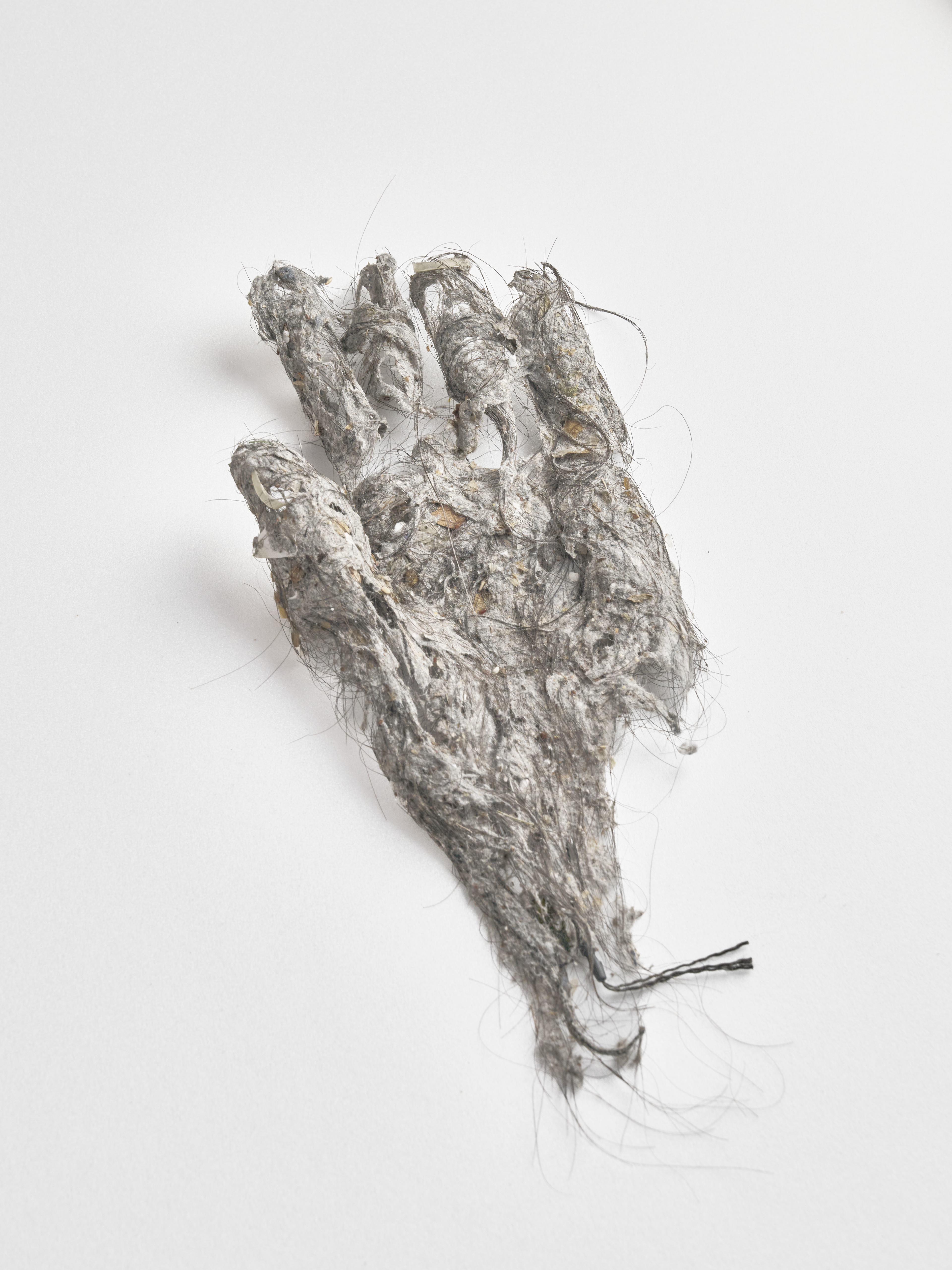 Anonymous Grasp #02 , 2025, Pigment Print
