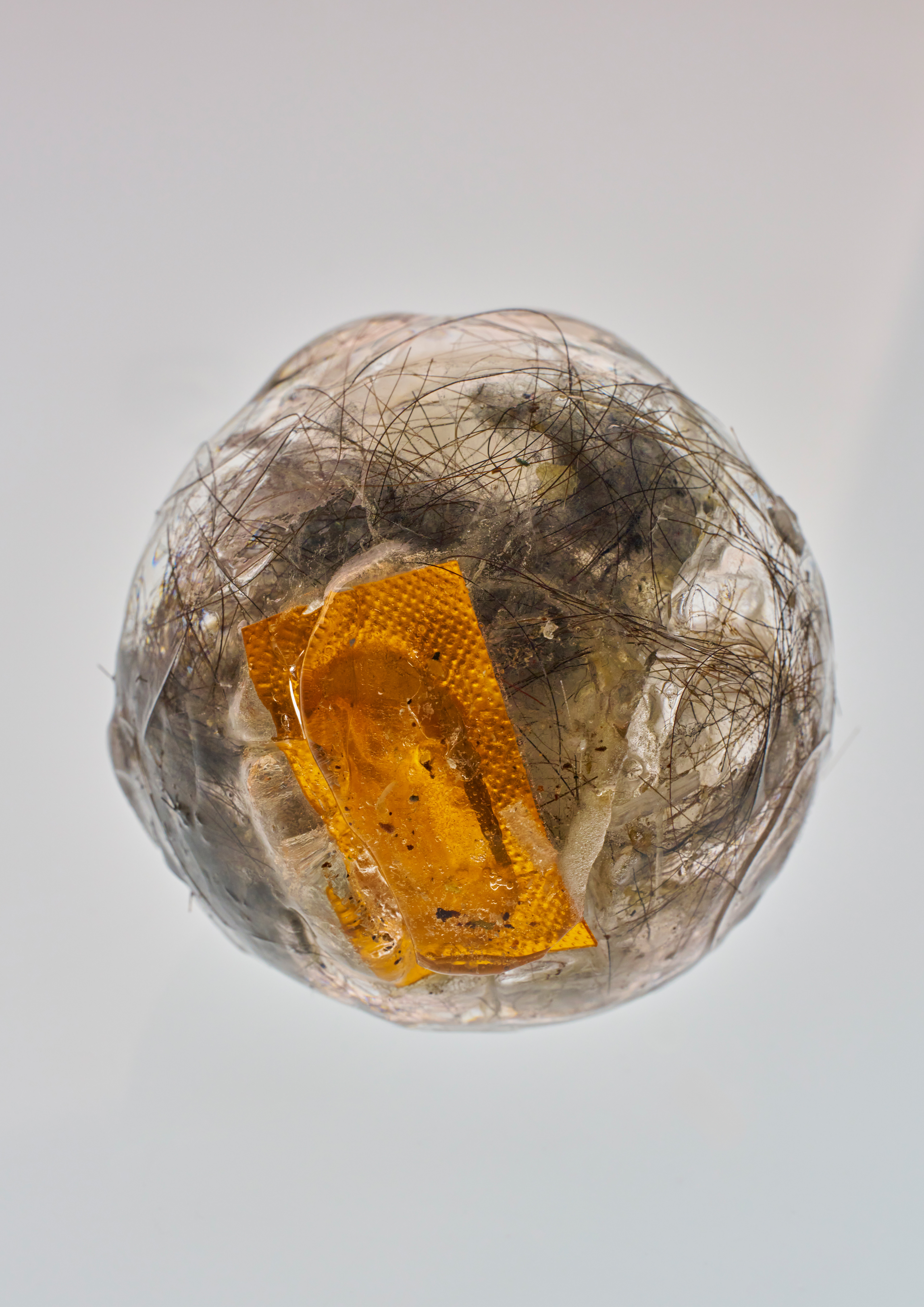 Untitled, 8x10 inch, Gelatin Silver Print (2019)