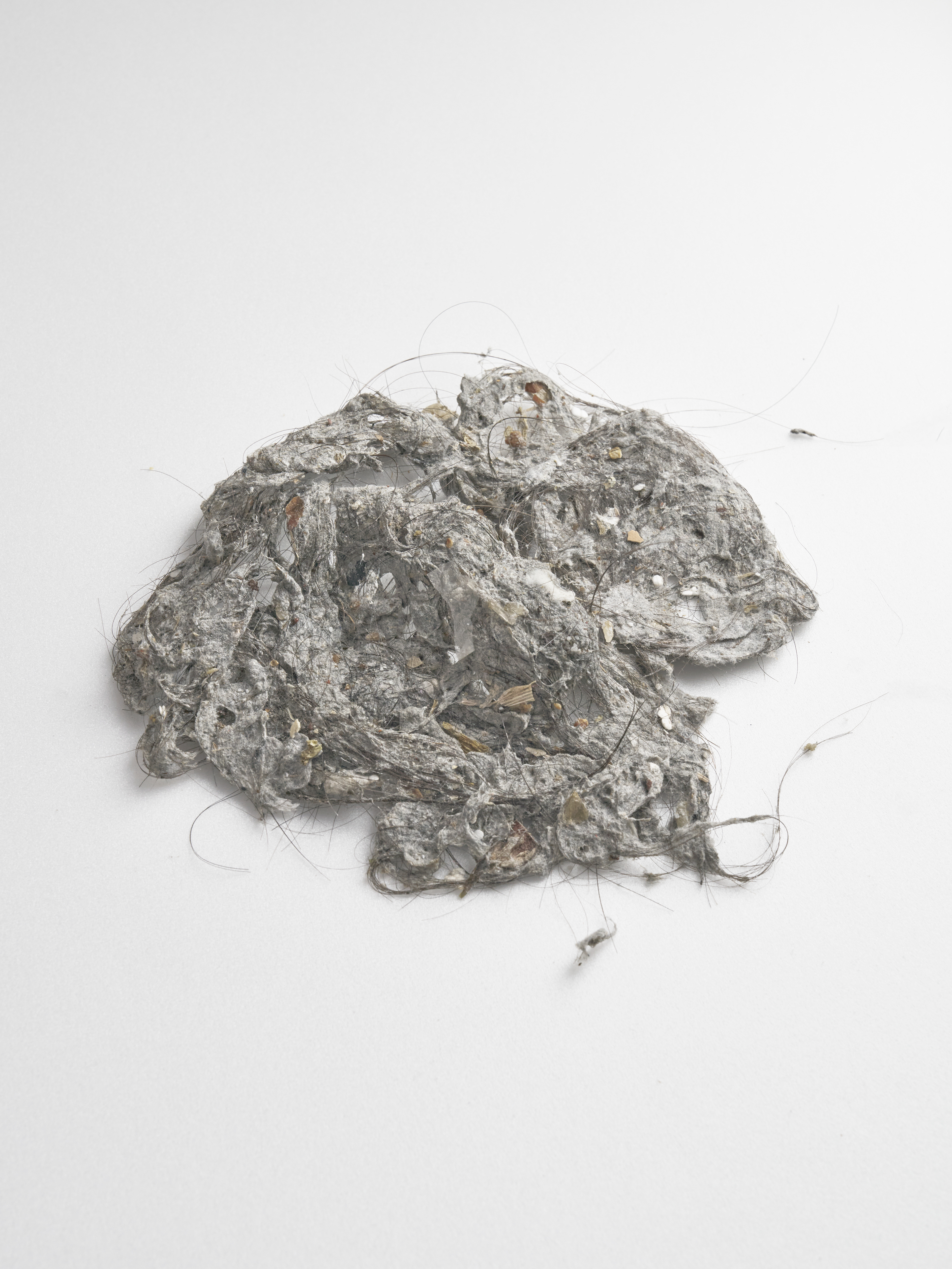 Anonymous Portrait#02 , 2025, Pigment Print