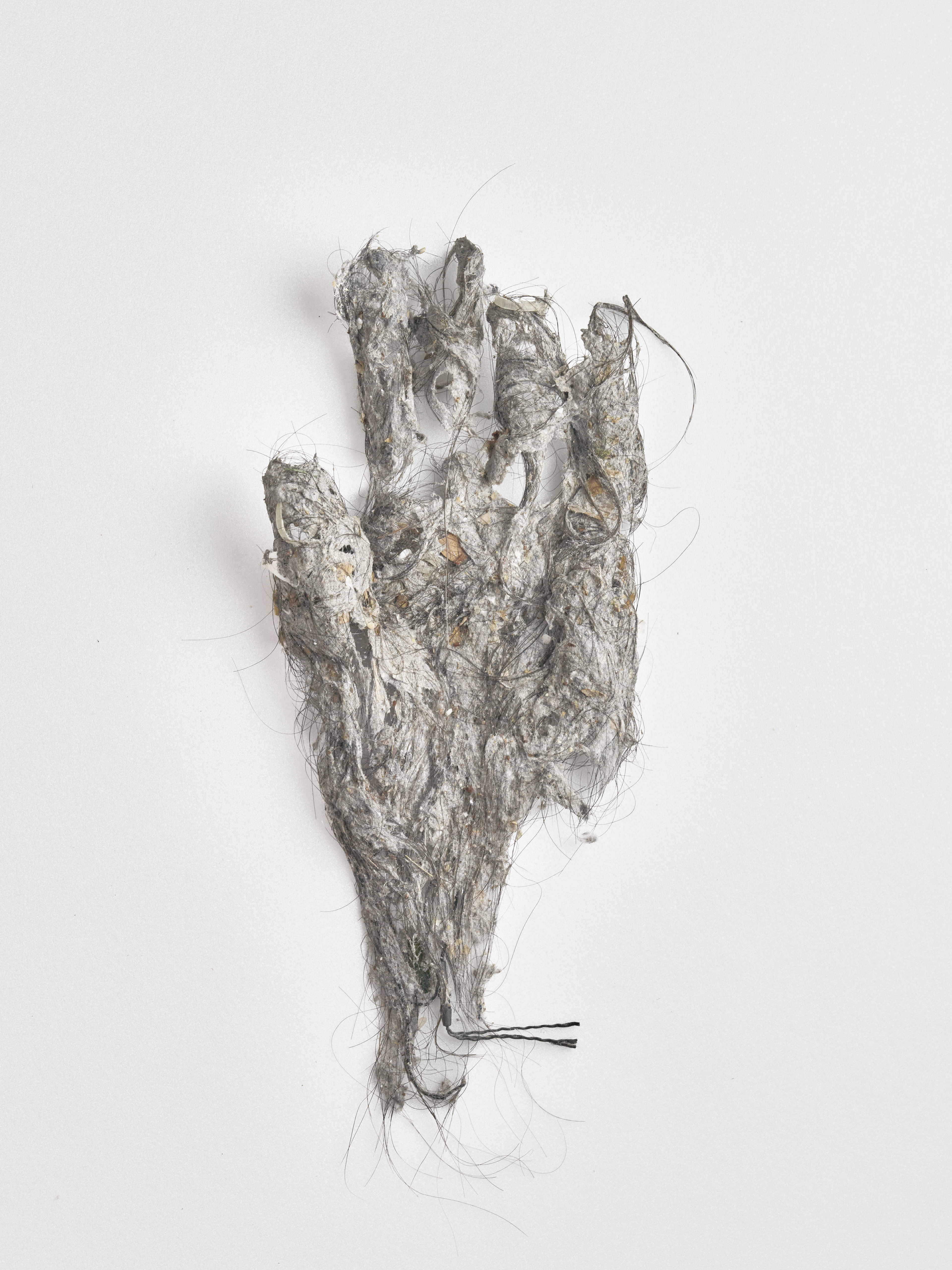 Anonymous Grasp #01 , 2025, Pigment Print