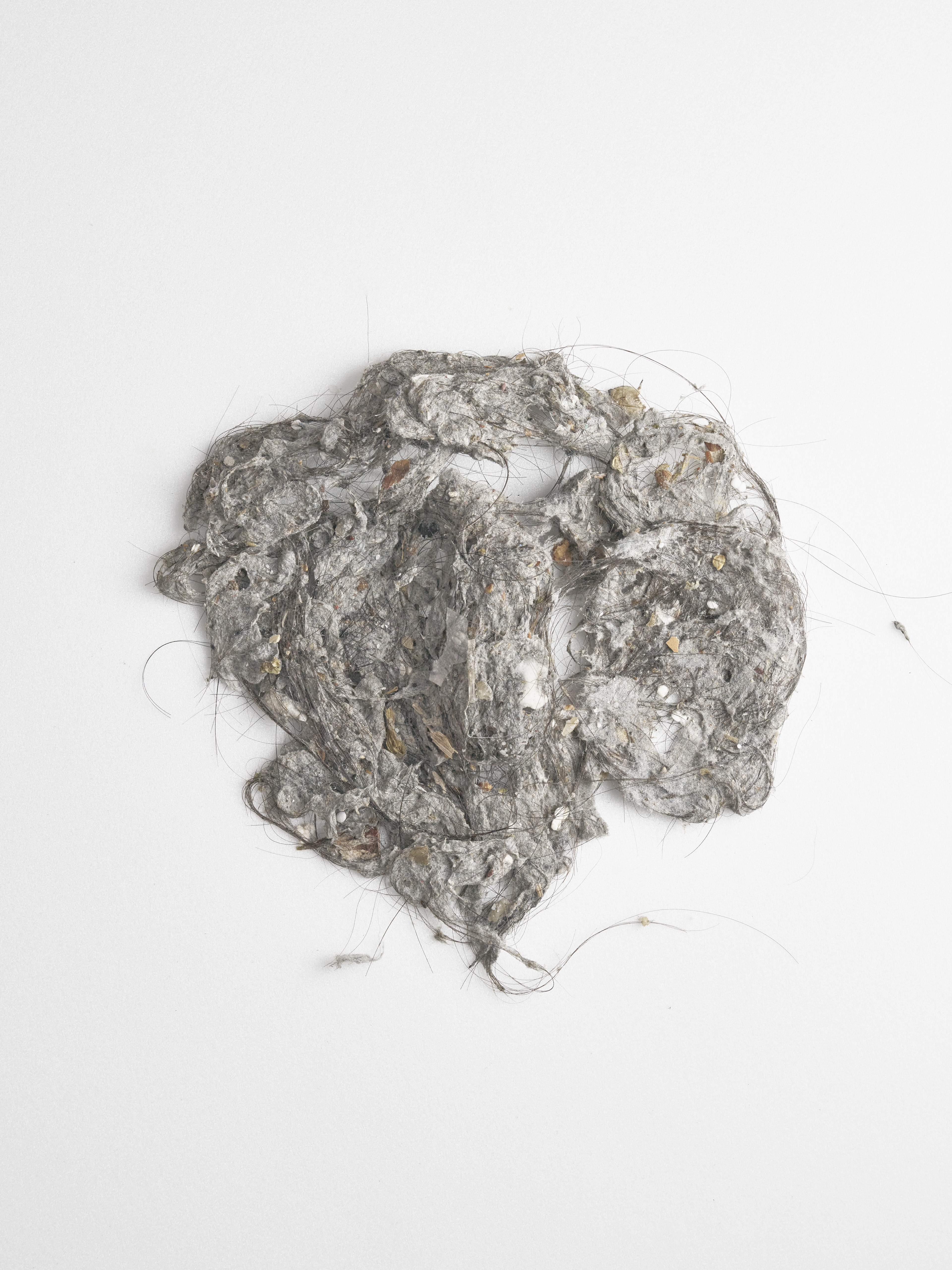 Anonymous Portrait#01 , 2025, Pigment Print