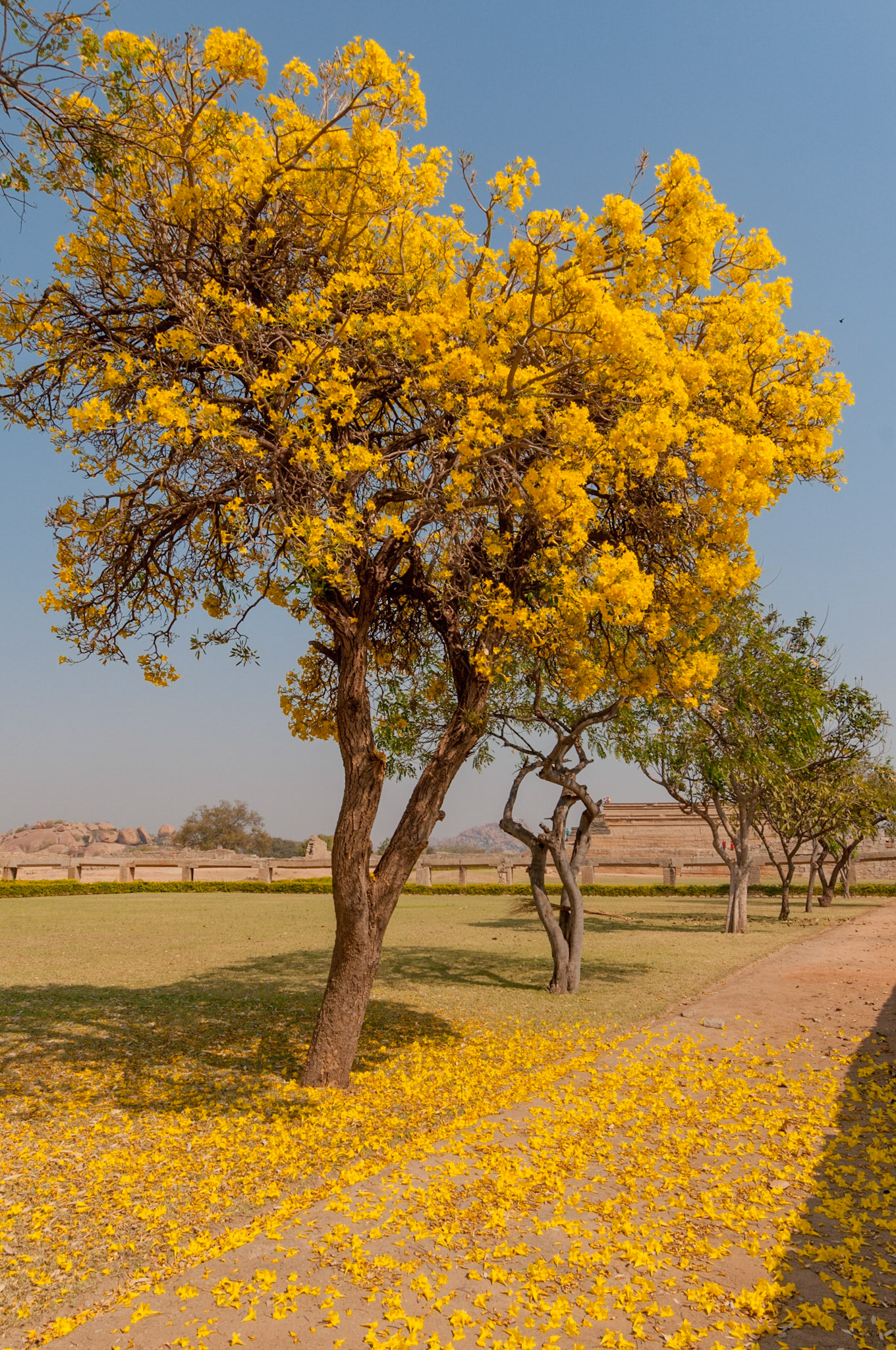 Hampi