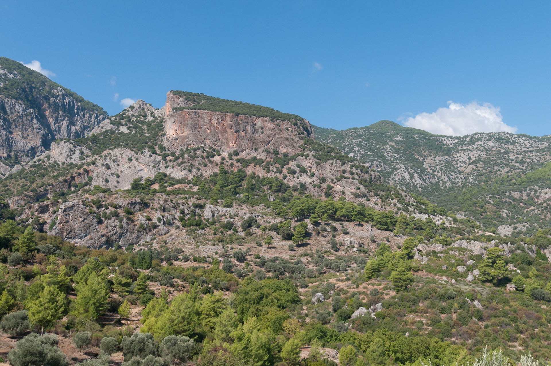 Pinara