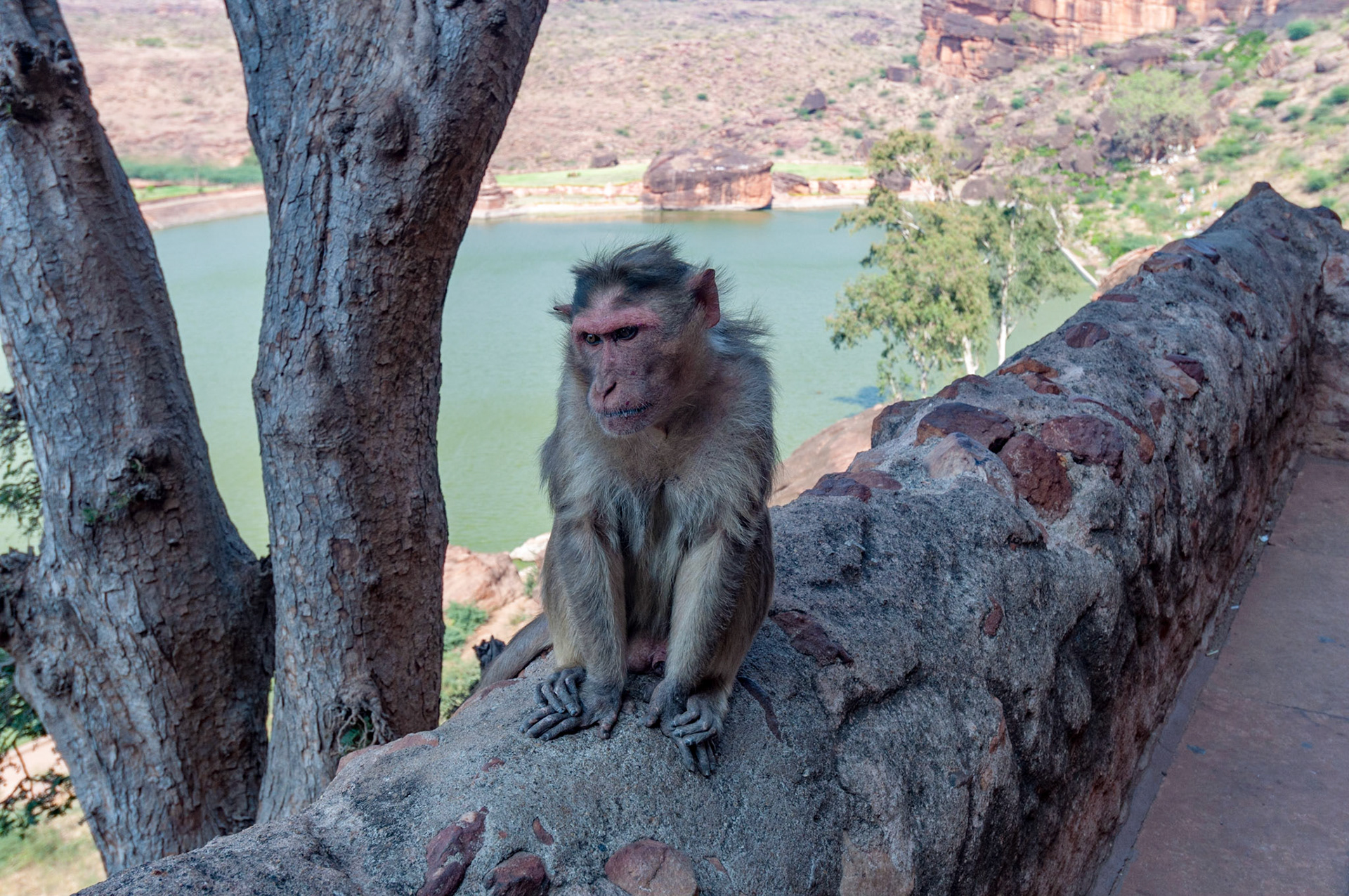 Badami