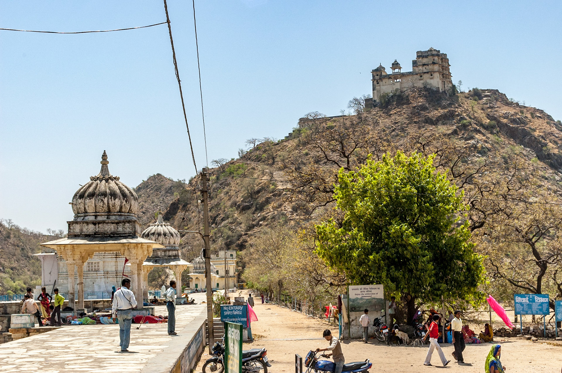 Jai Samand