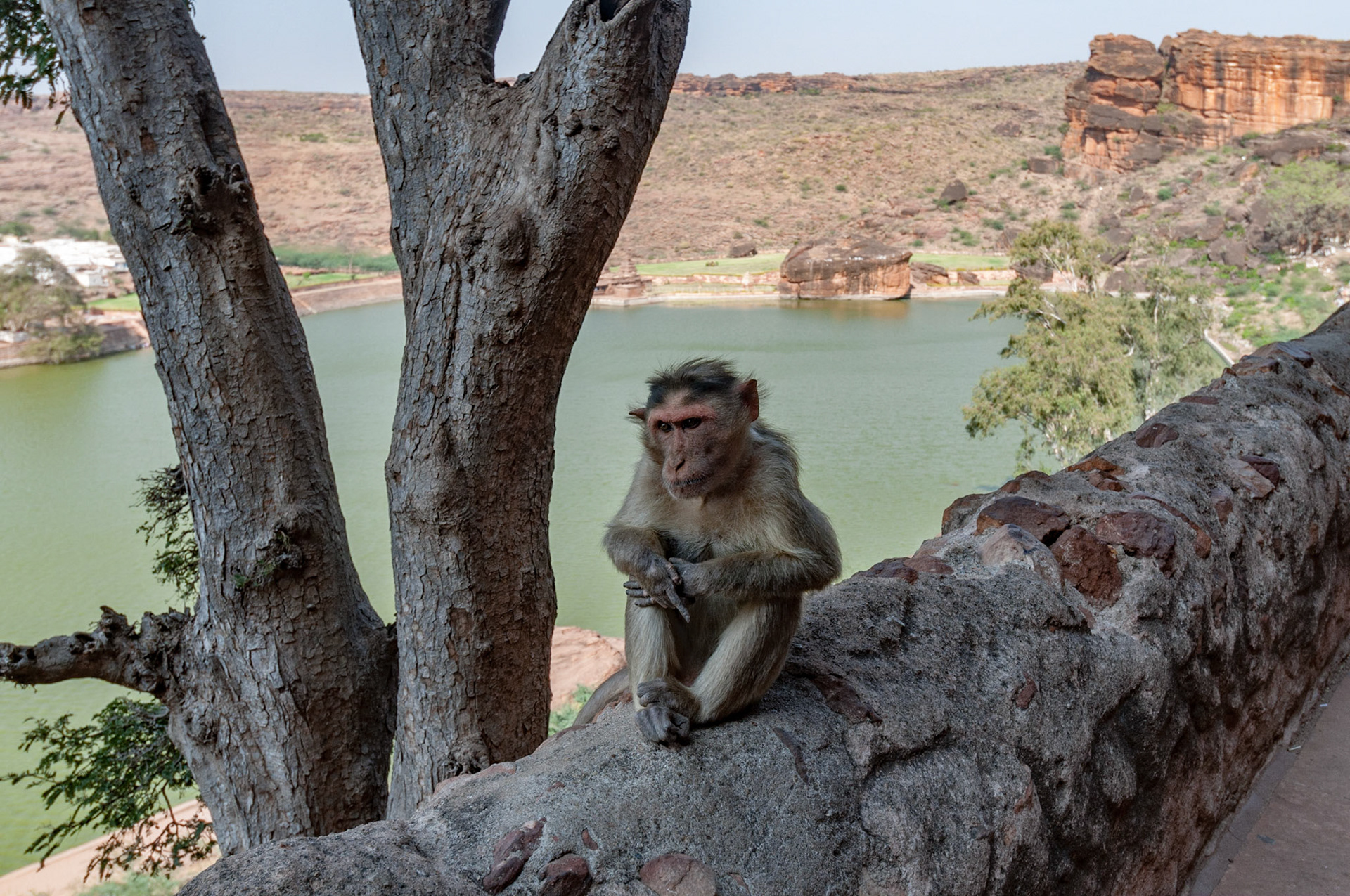 Badami