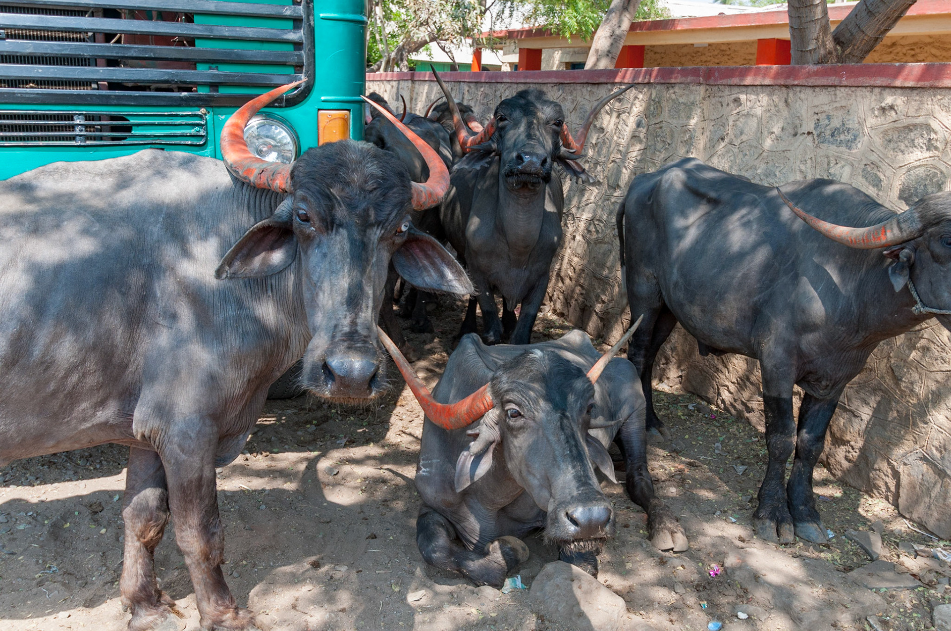 Bijapur