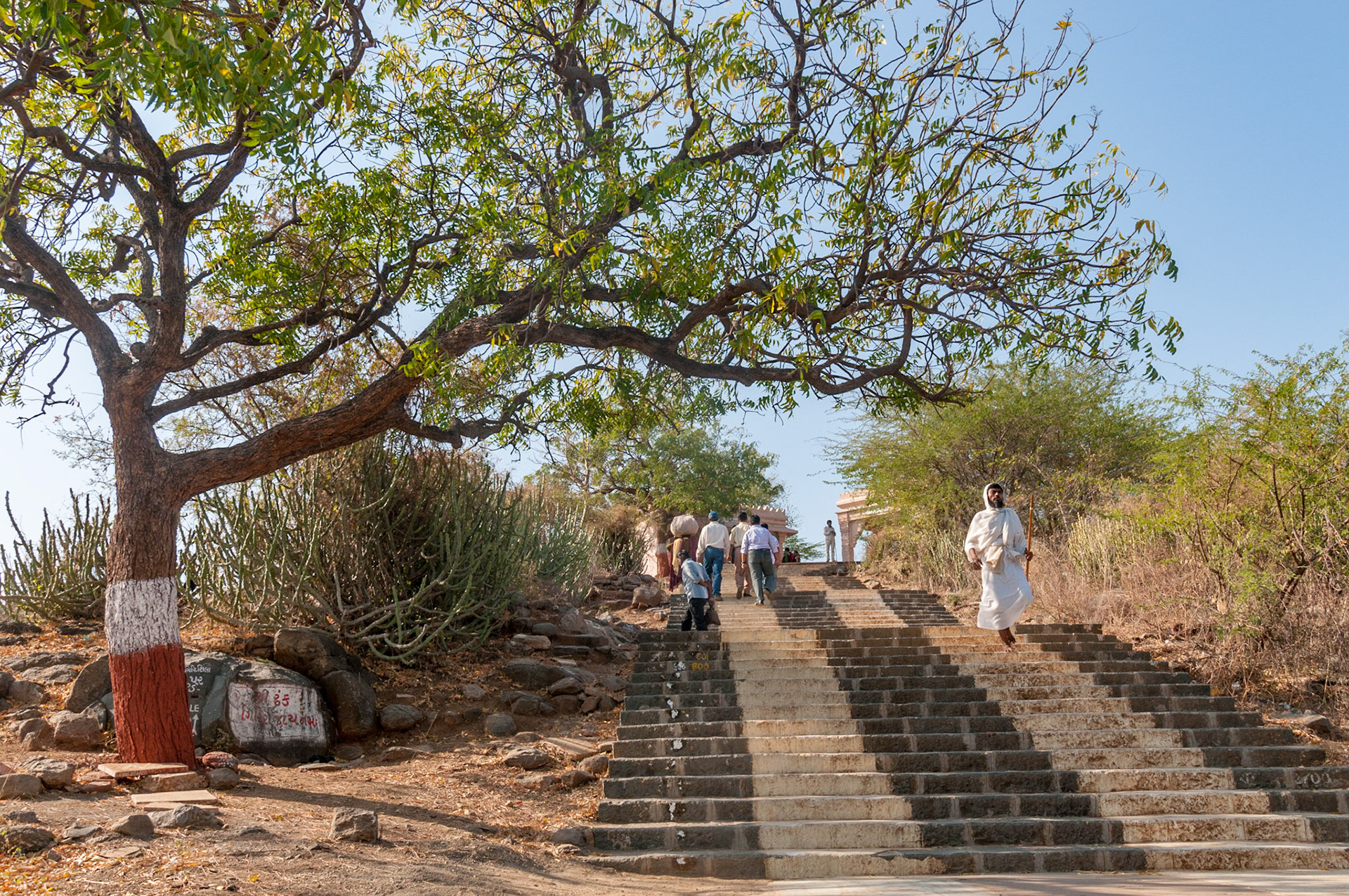 Palitana