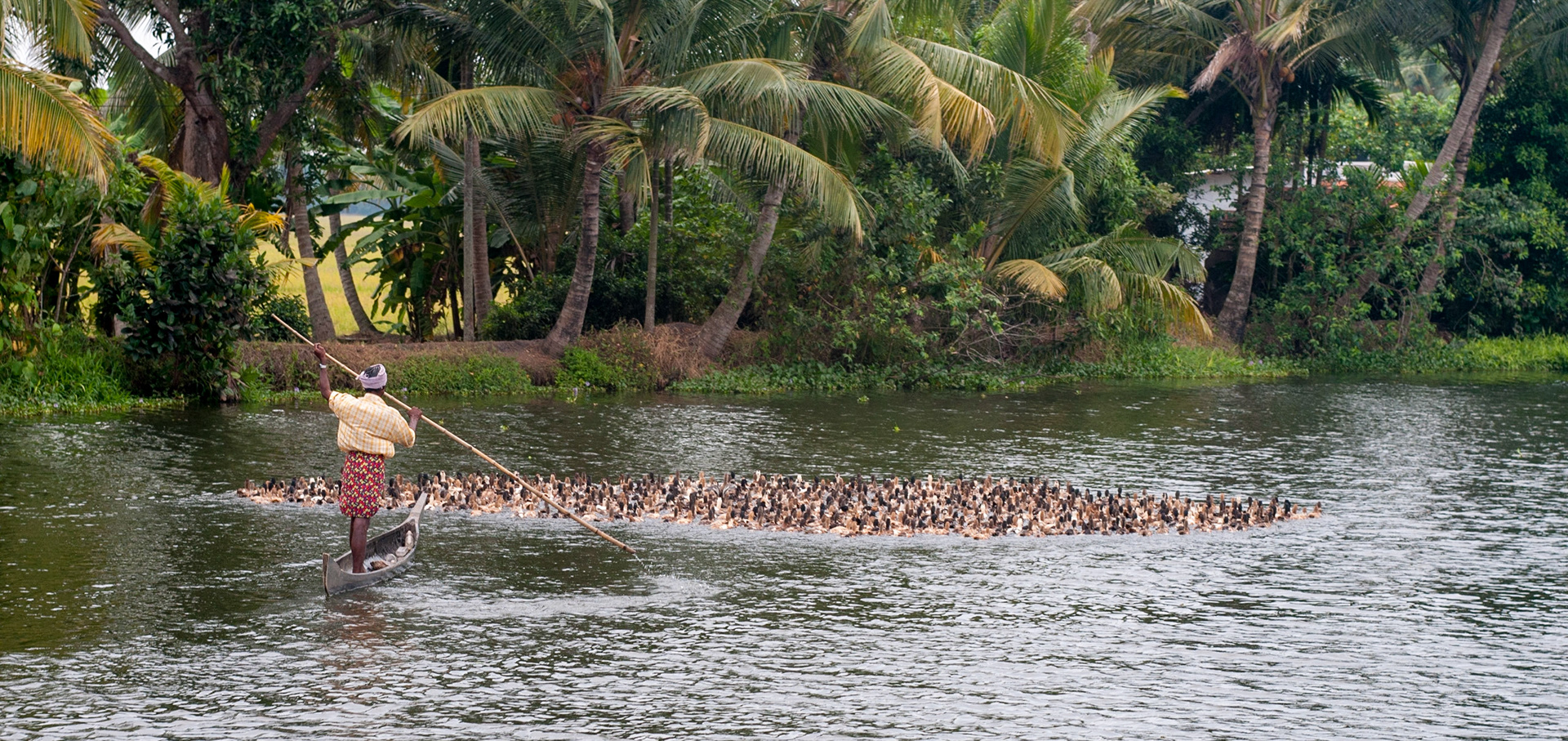 Backwaters