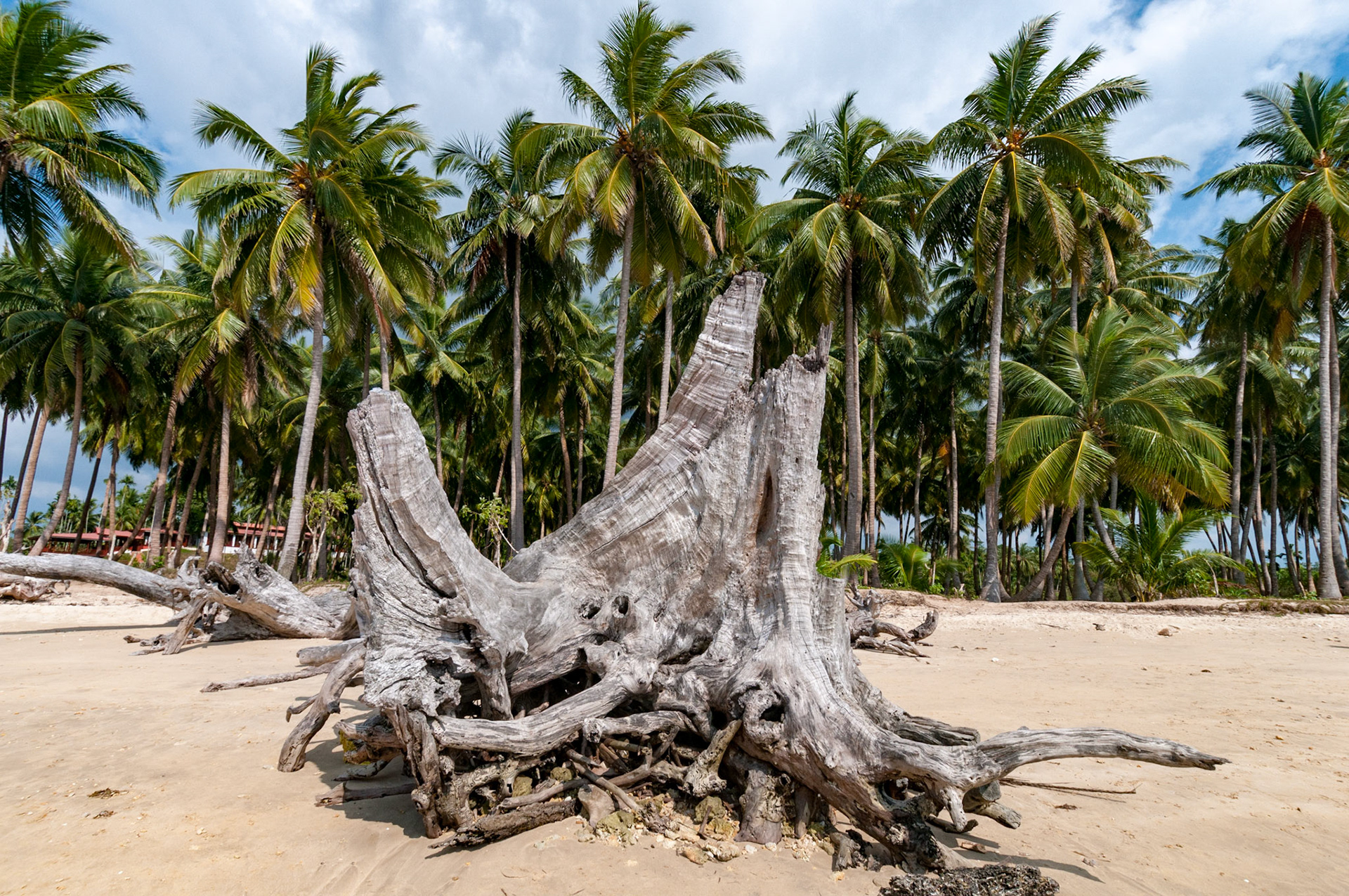 Andamans