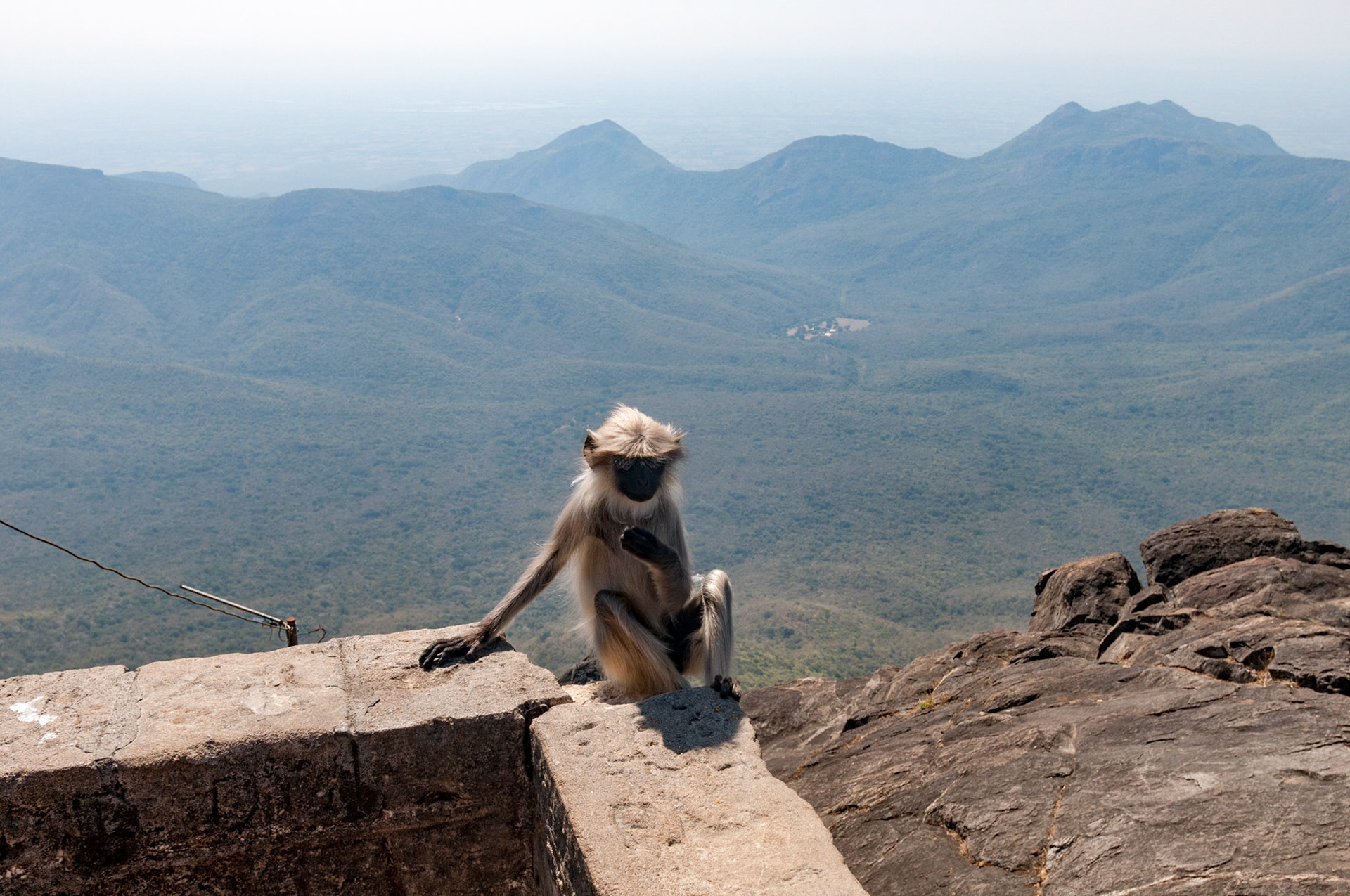 Mount Girnar
