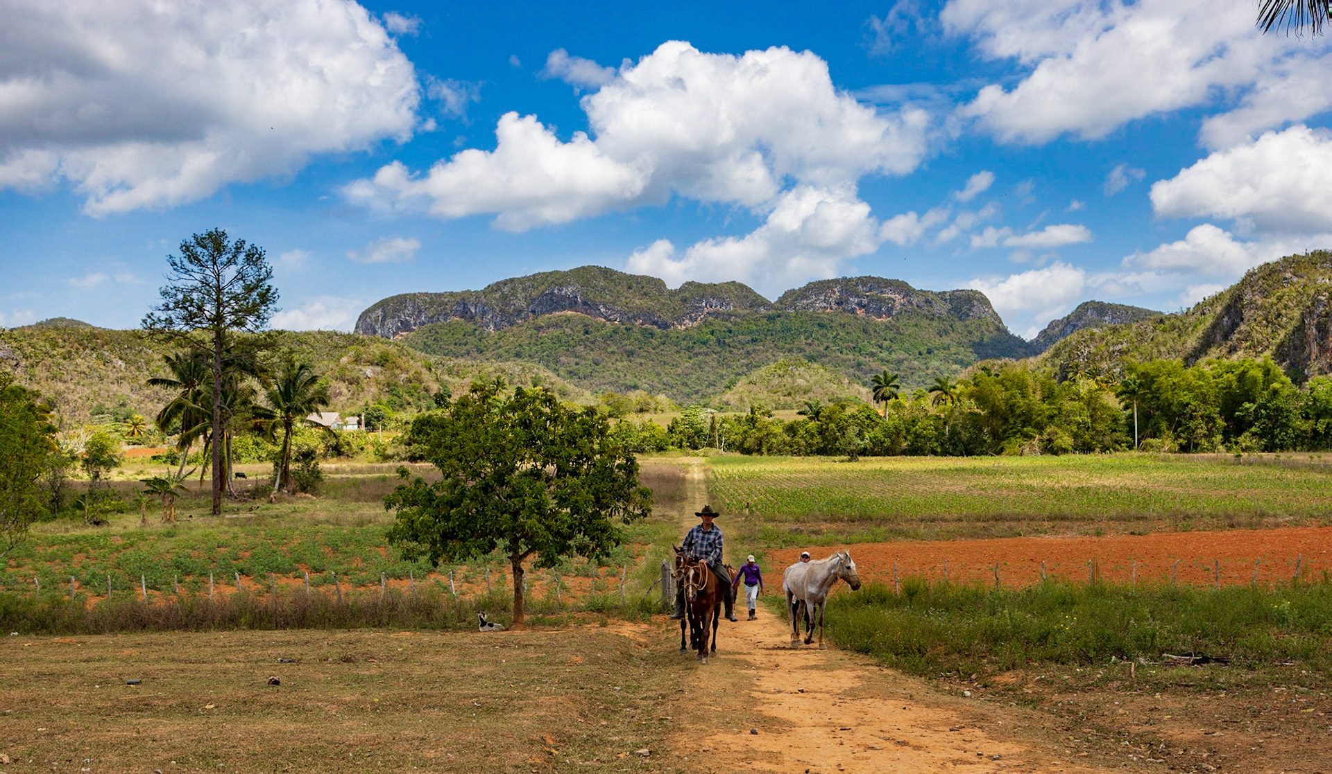 Viñales