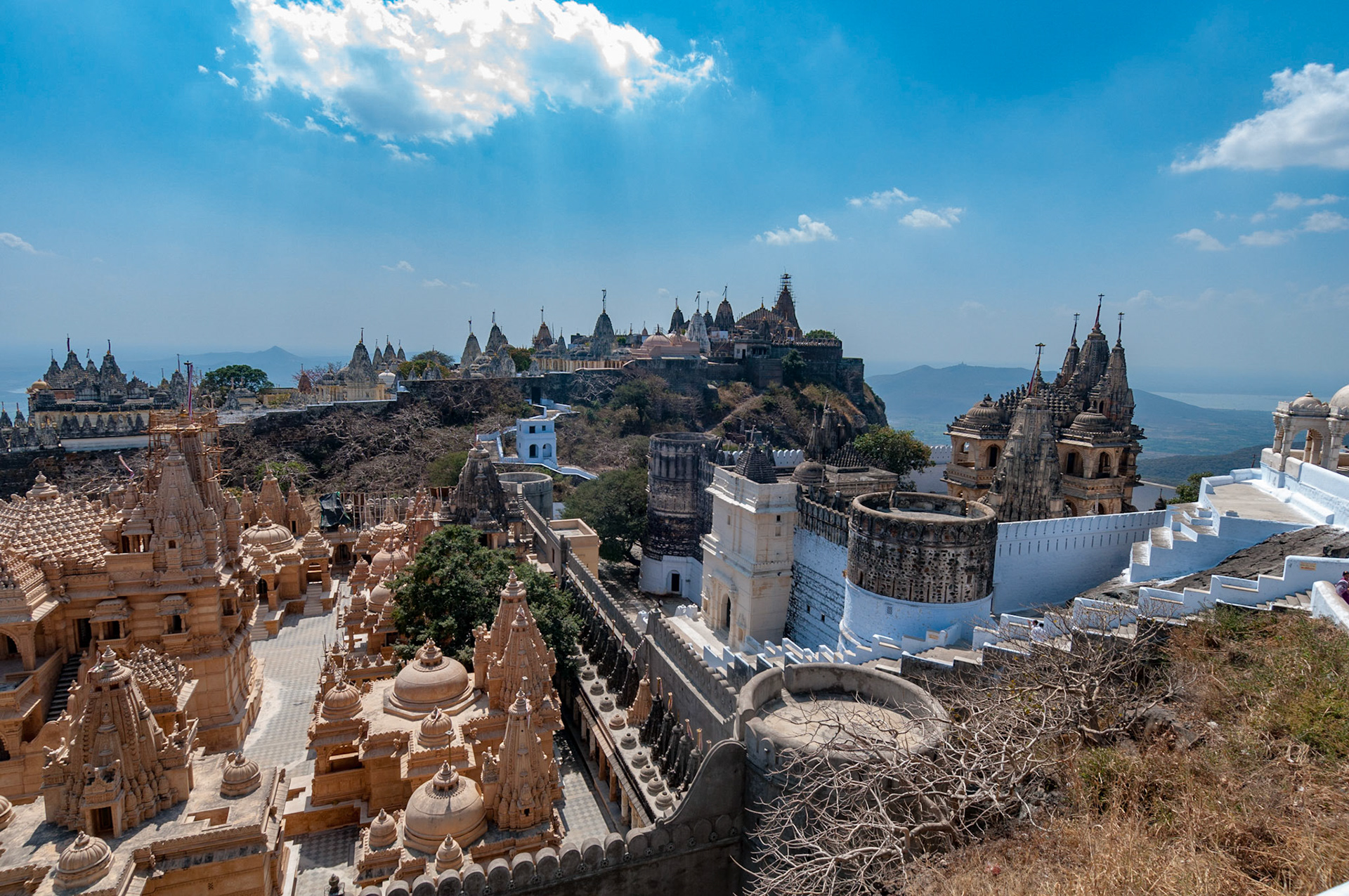 Palitana