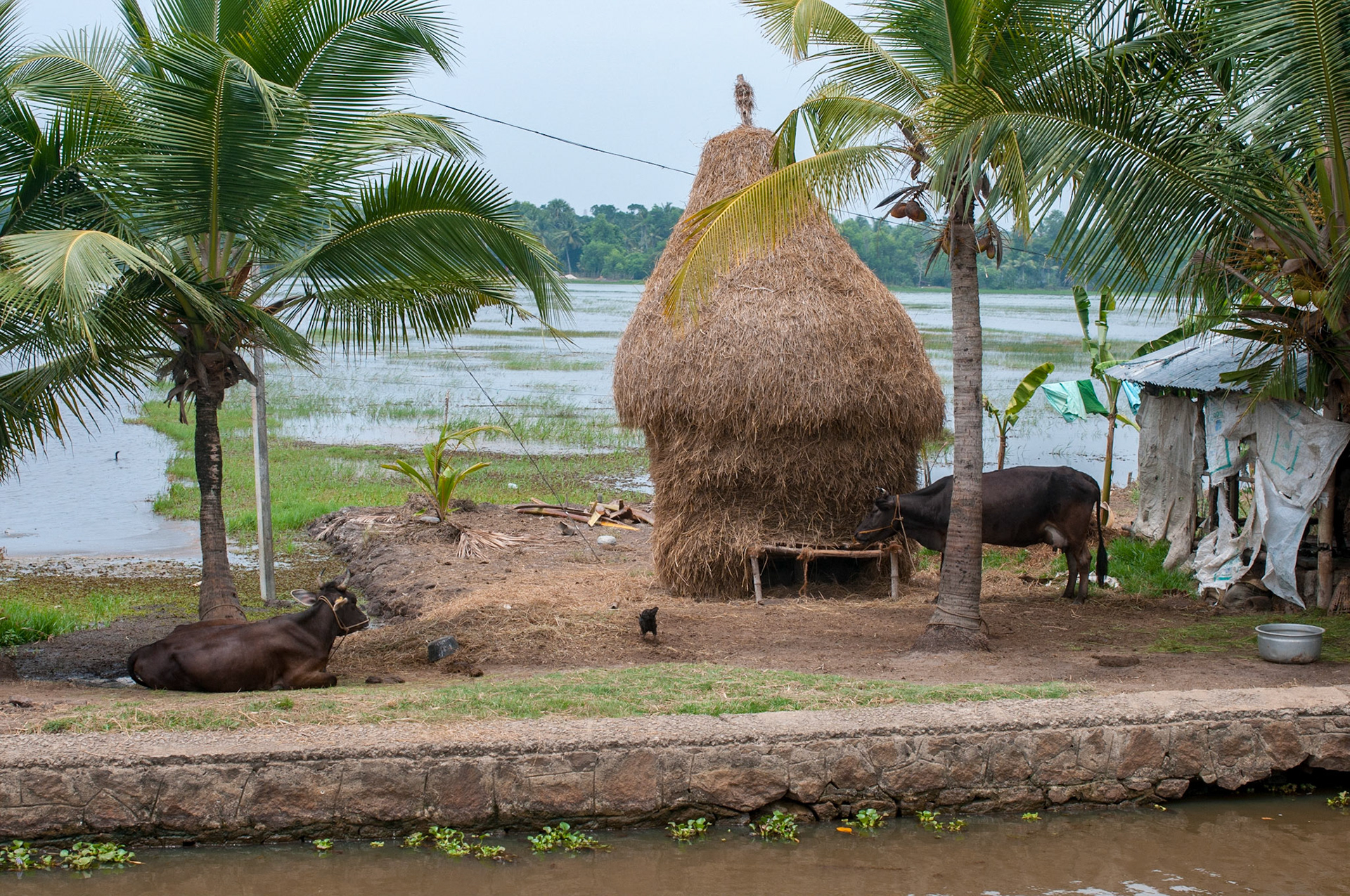 Backwaters