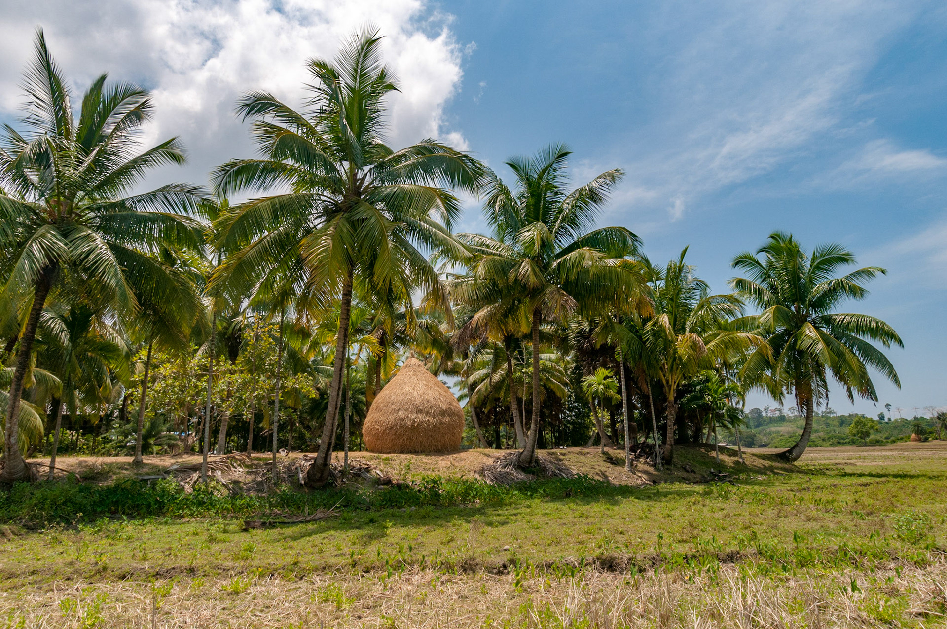 Andamans