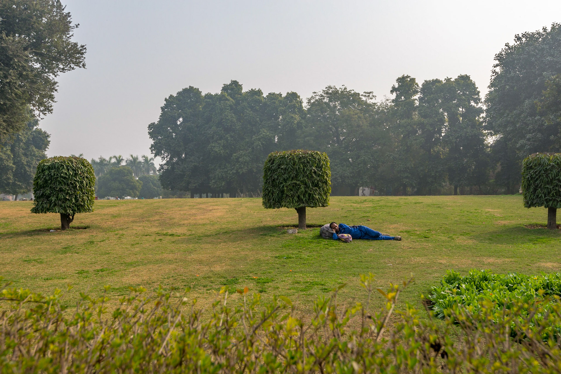 Purana Qila