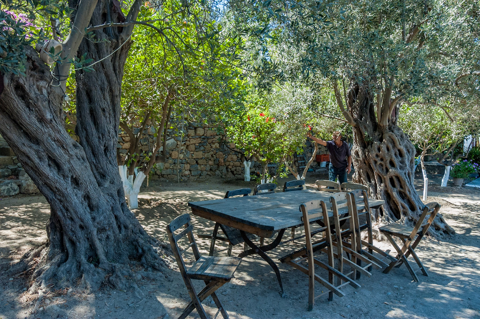 Lindos. Casa di Beatrice