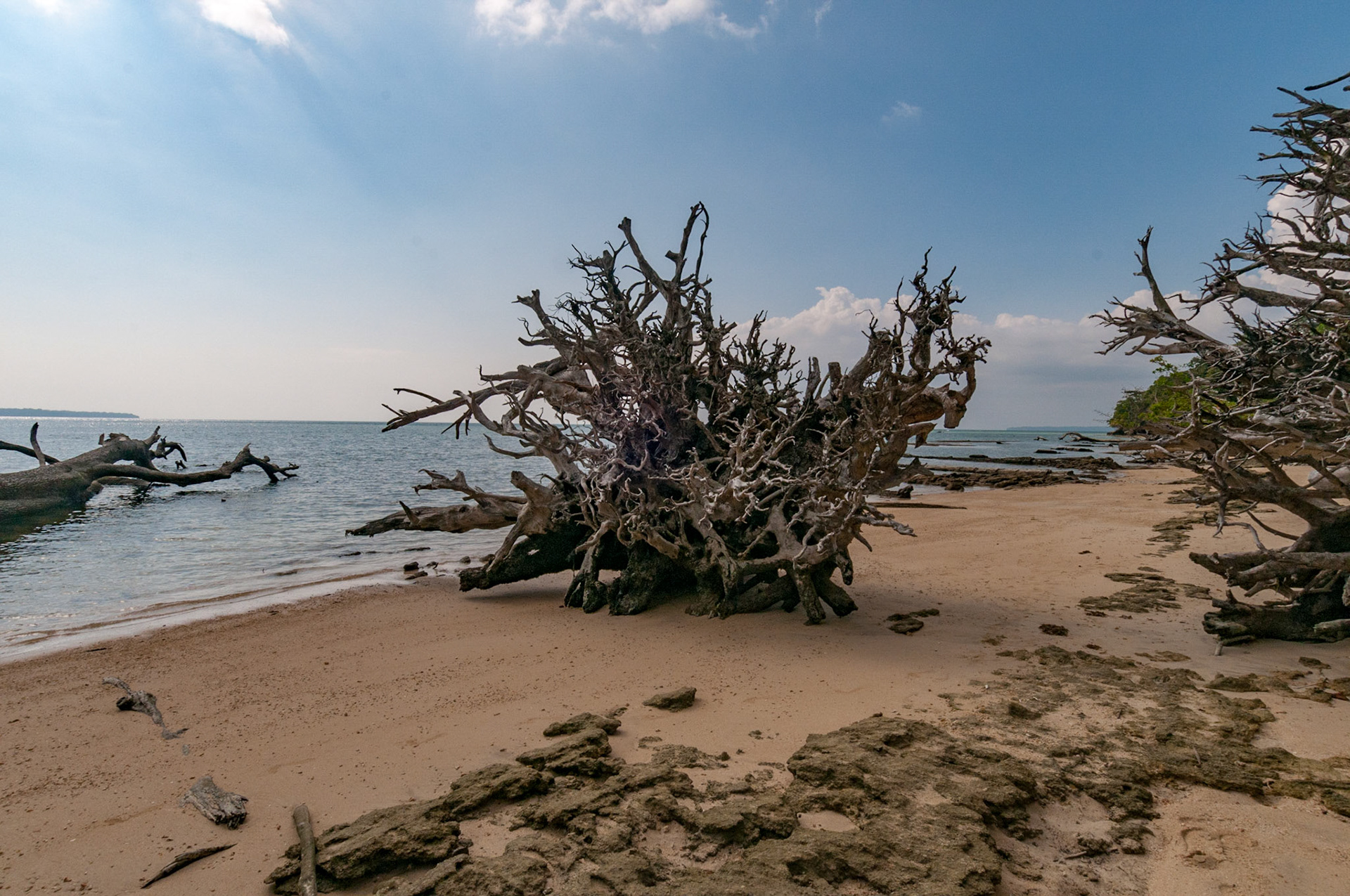 Andamans