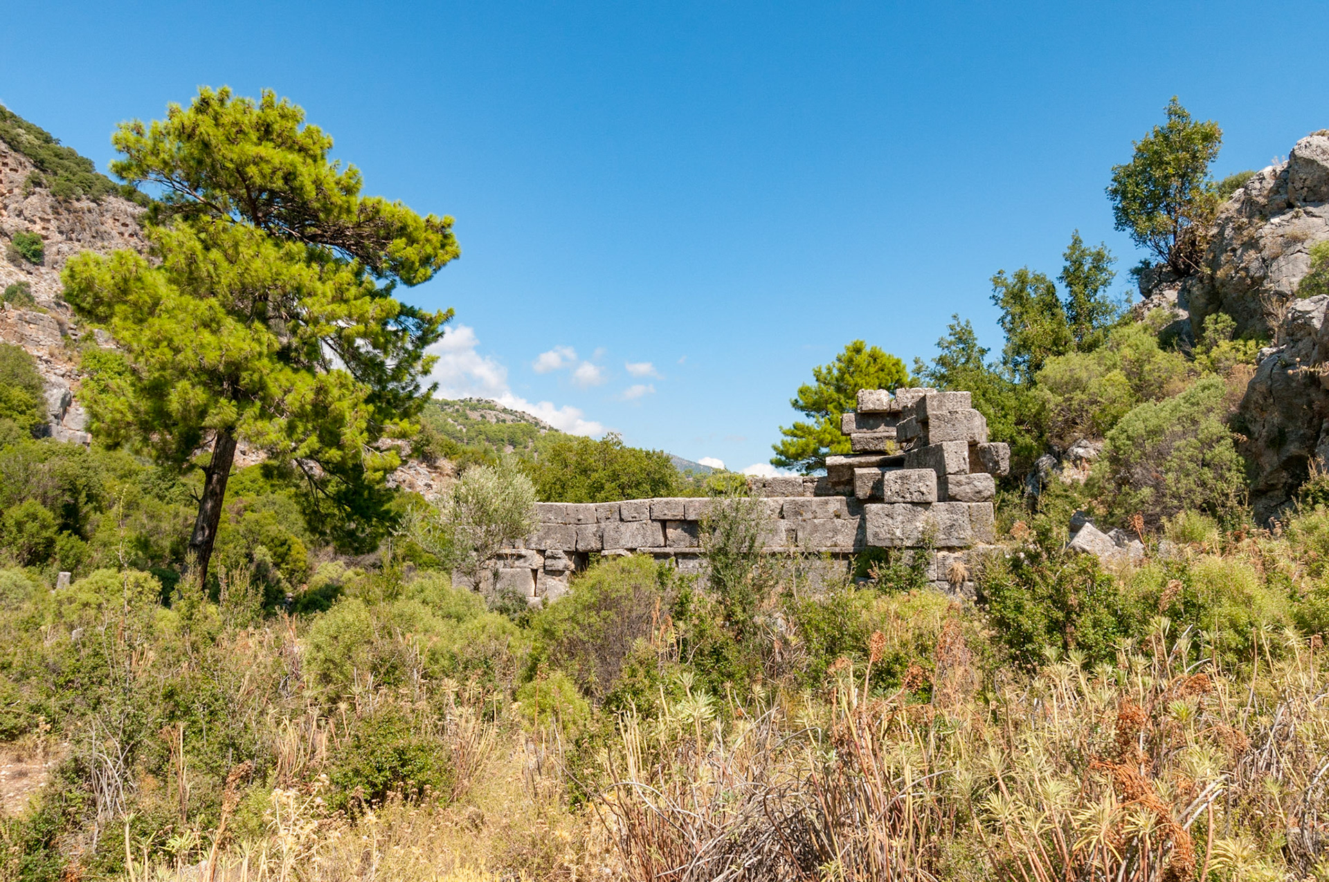 Pinara