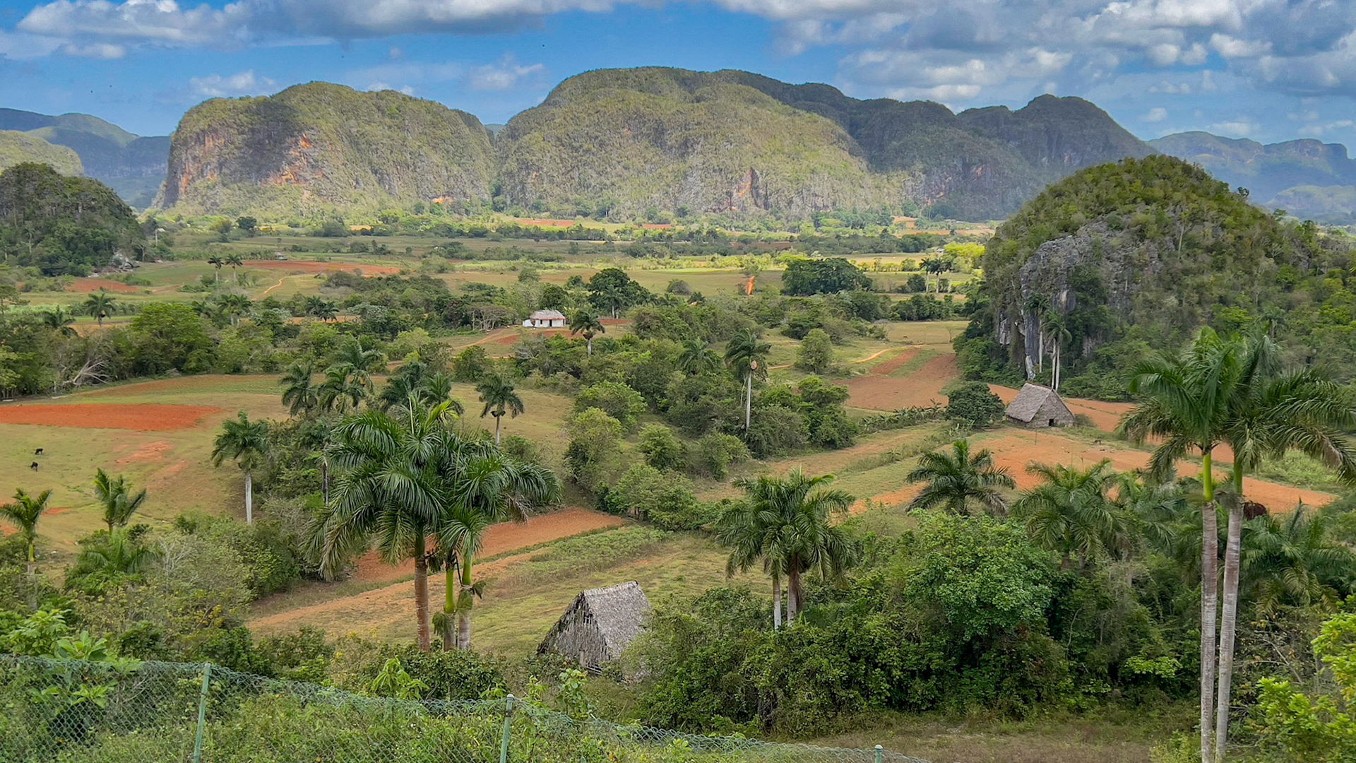 Viñales