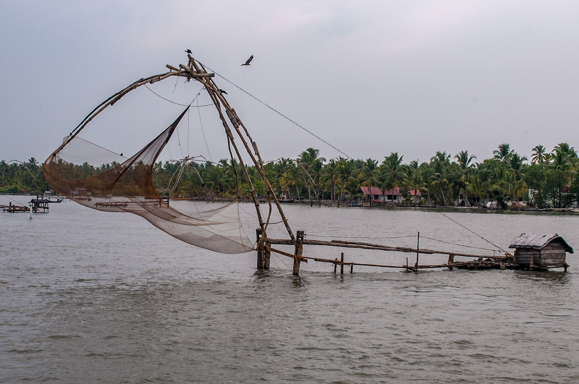 Backwaters