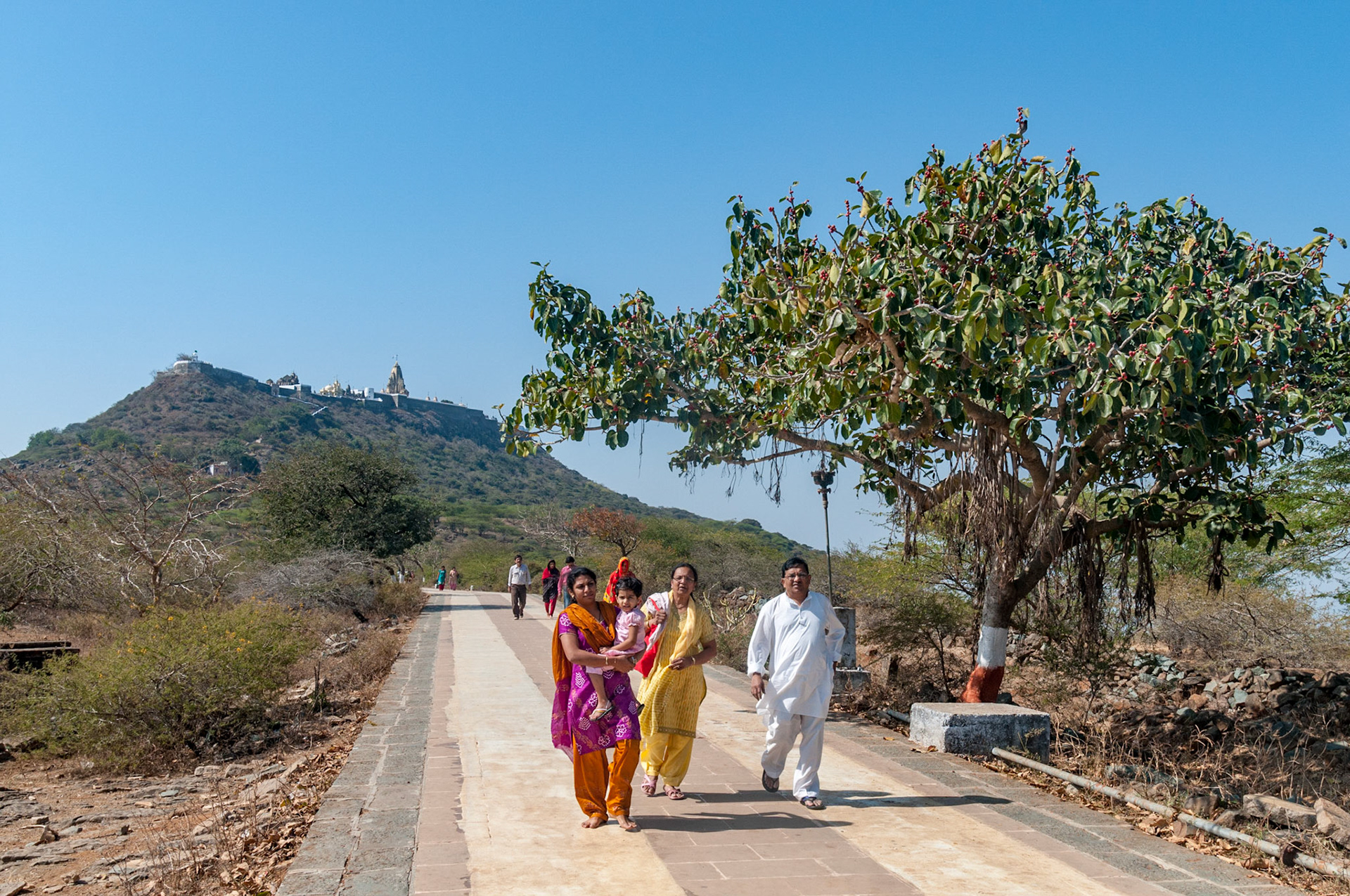 Palitana