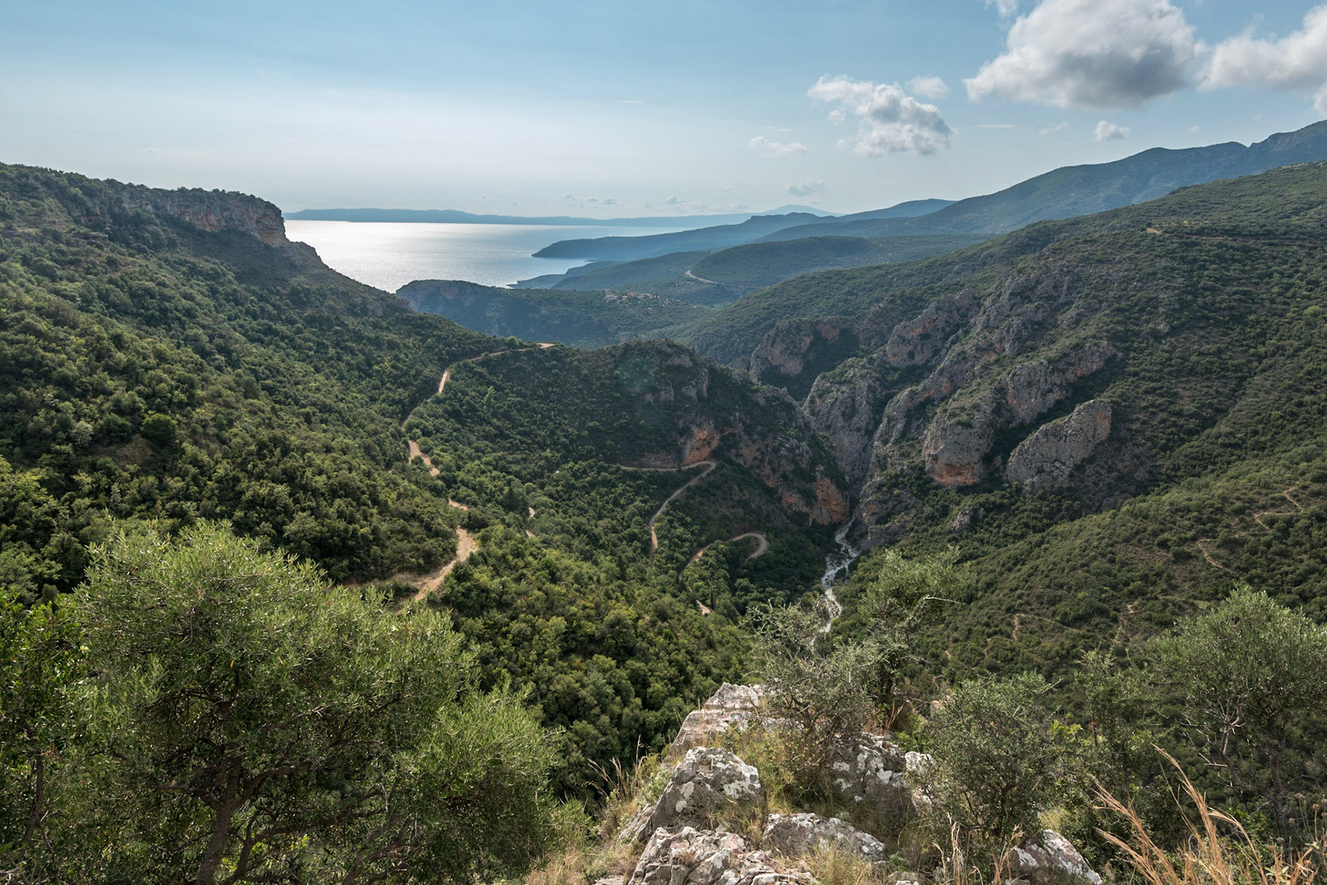 Kardamili