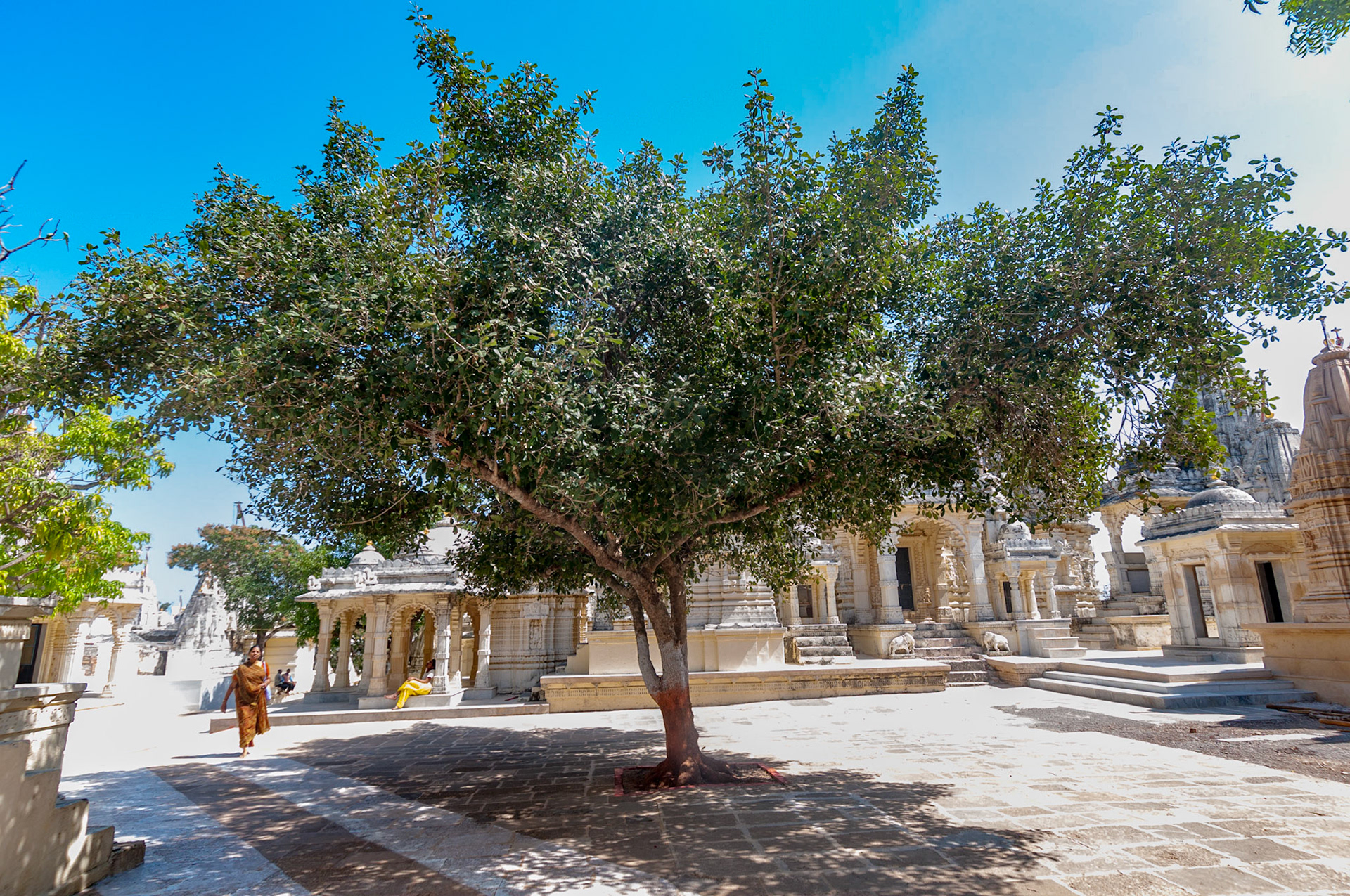 Palitana