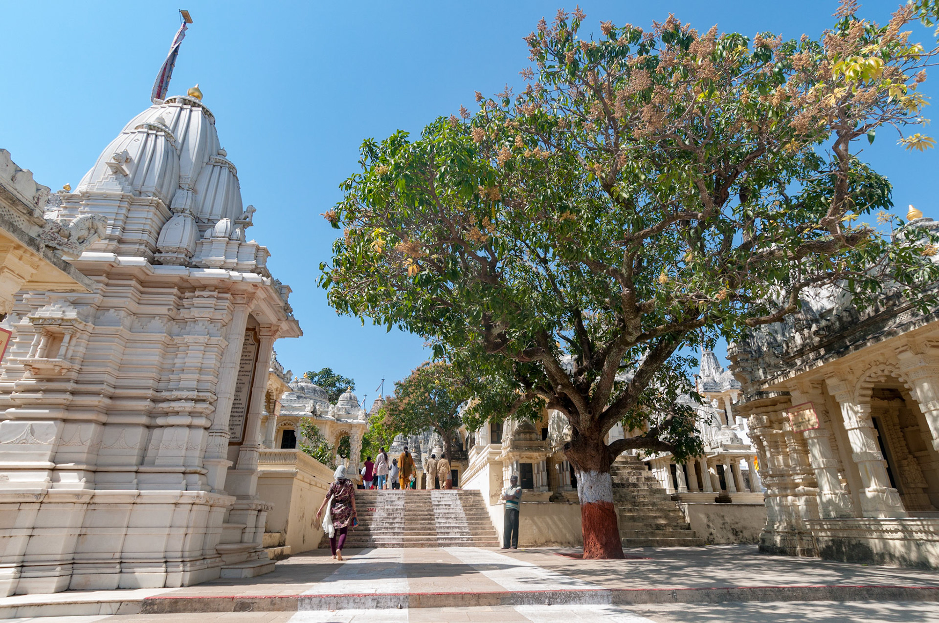 Palitana