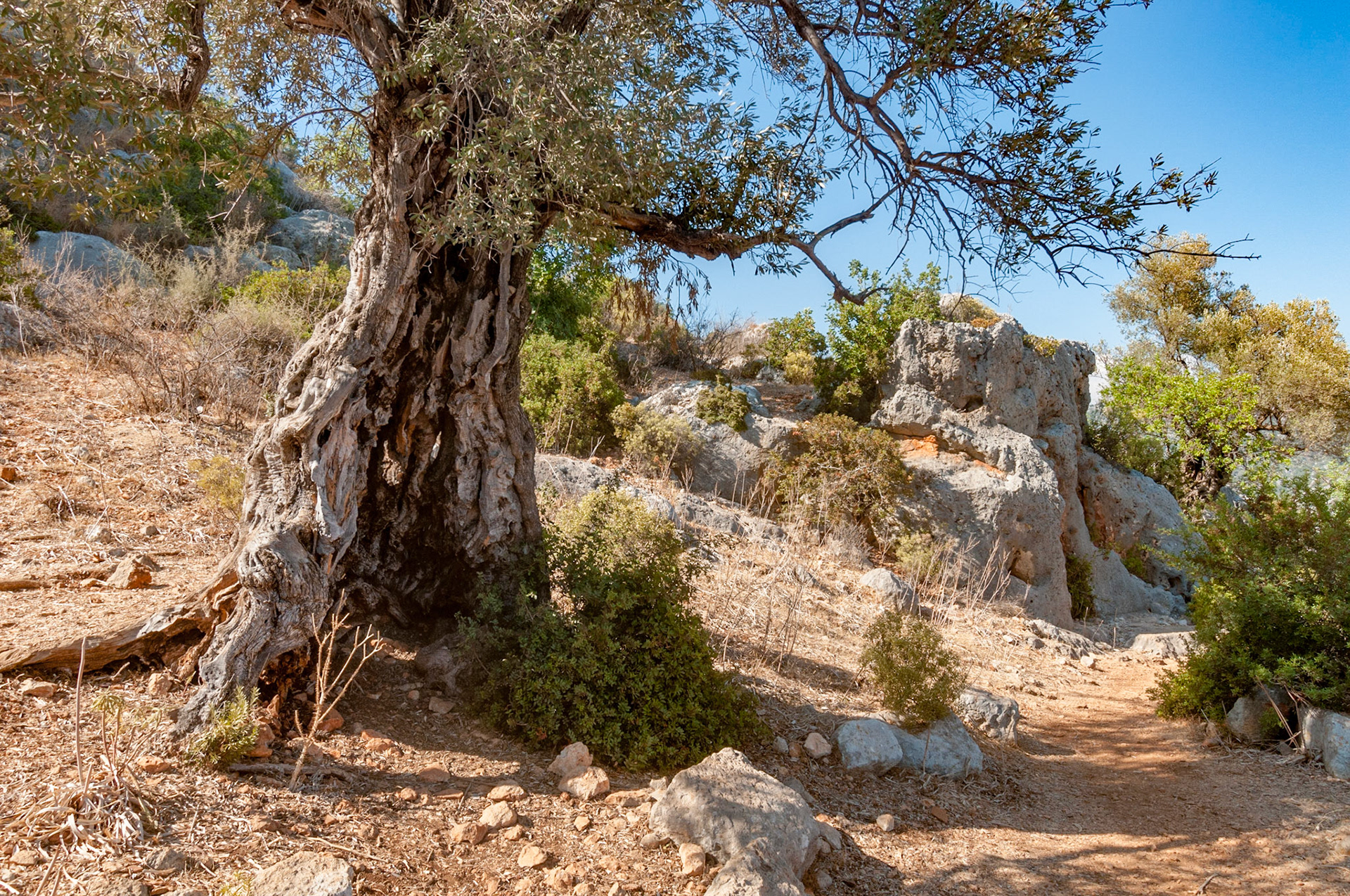 Kekova