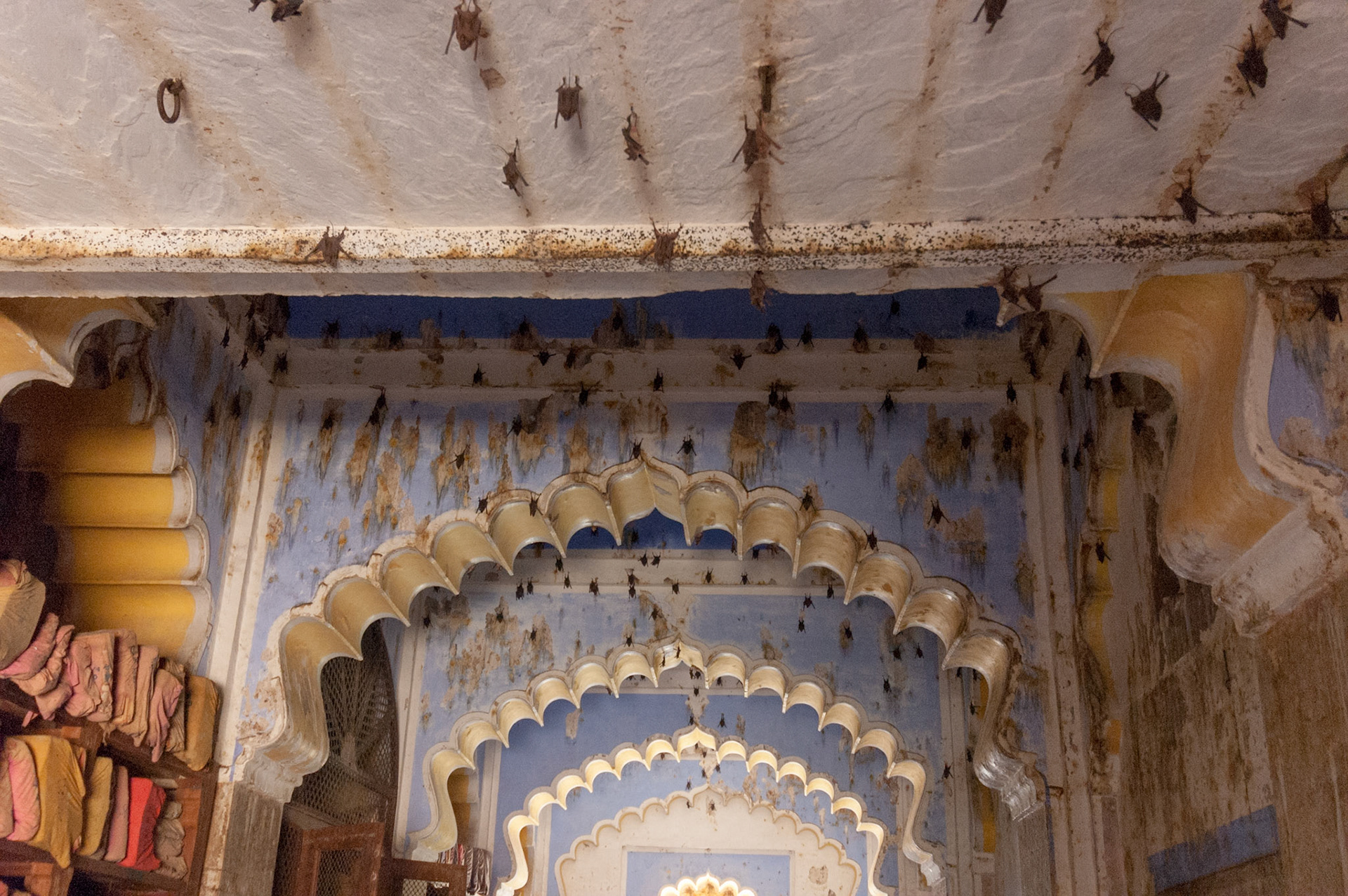 Bundi