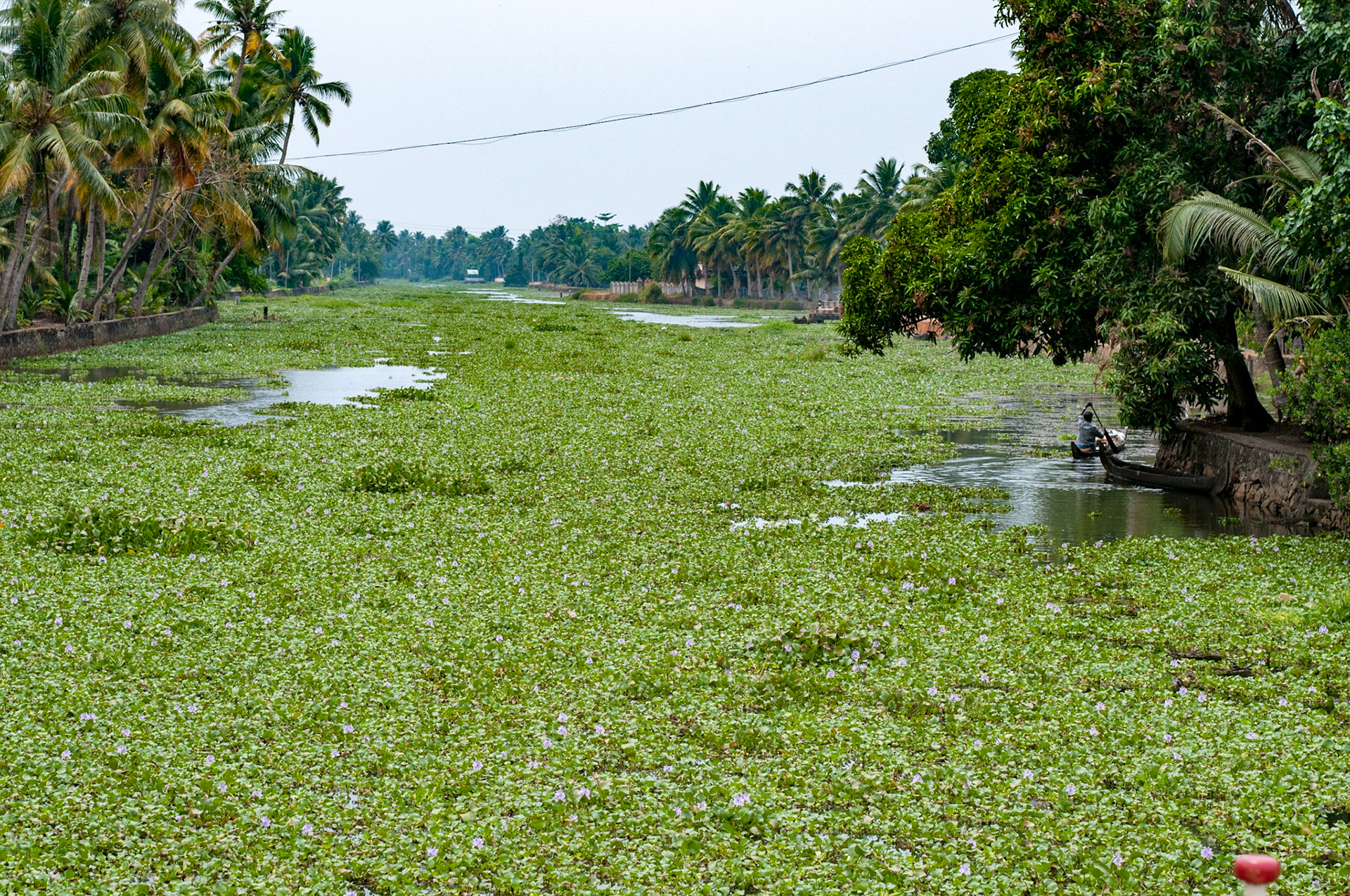 Backwaters