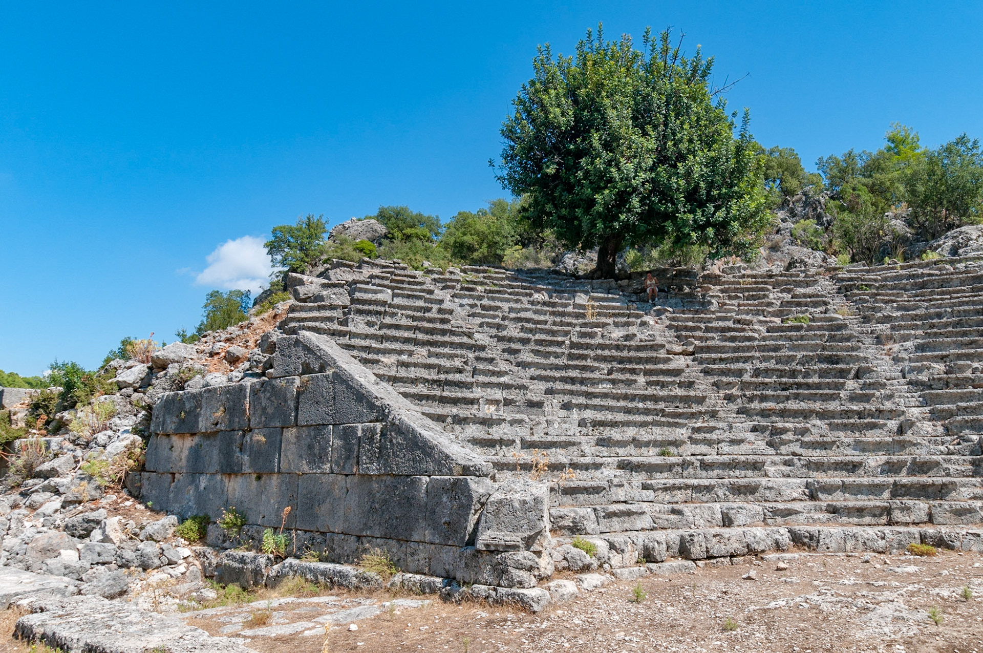 Pinara