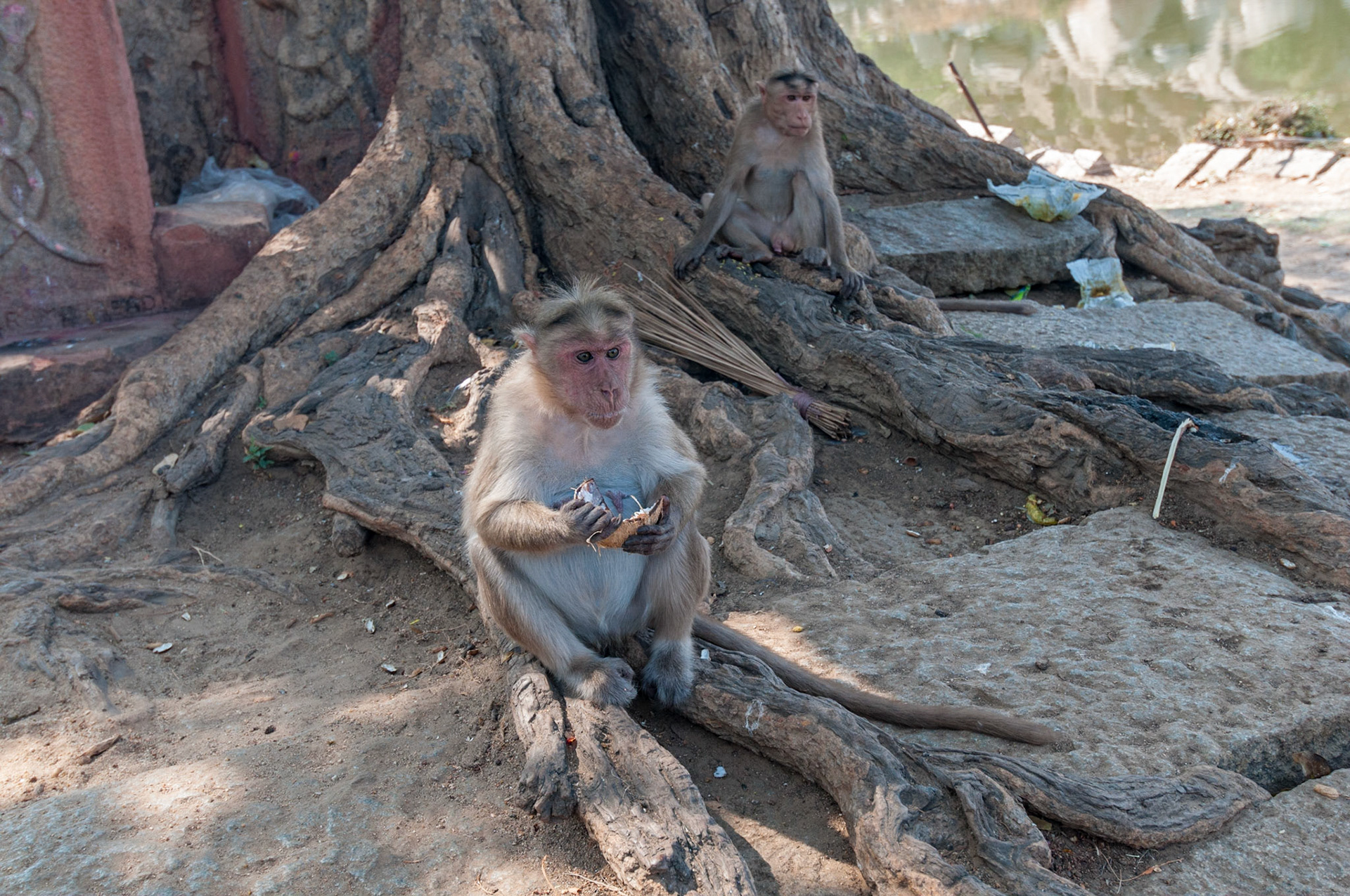 Hampi