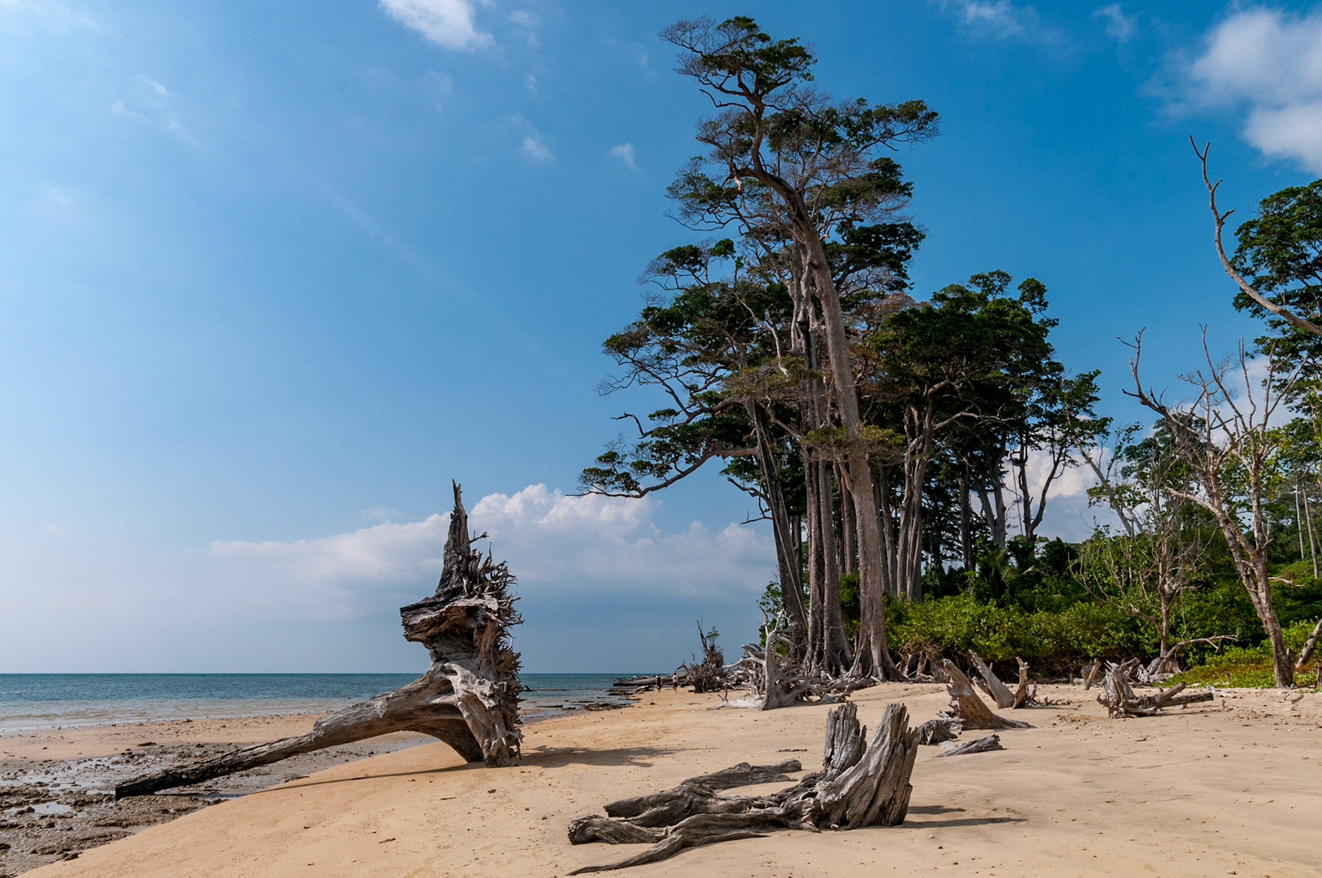 Andamans