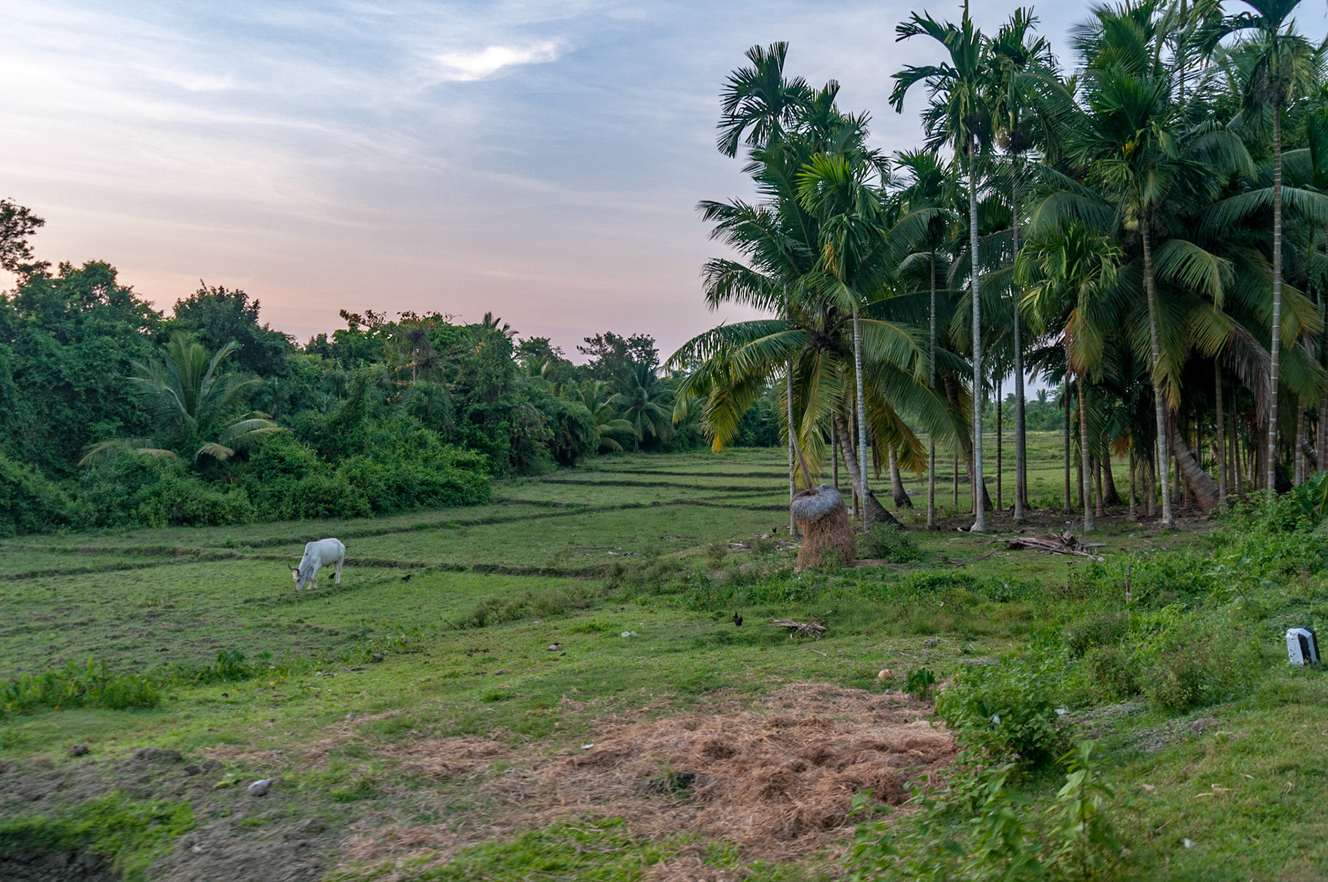 Andamans