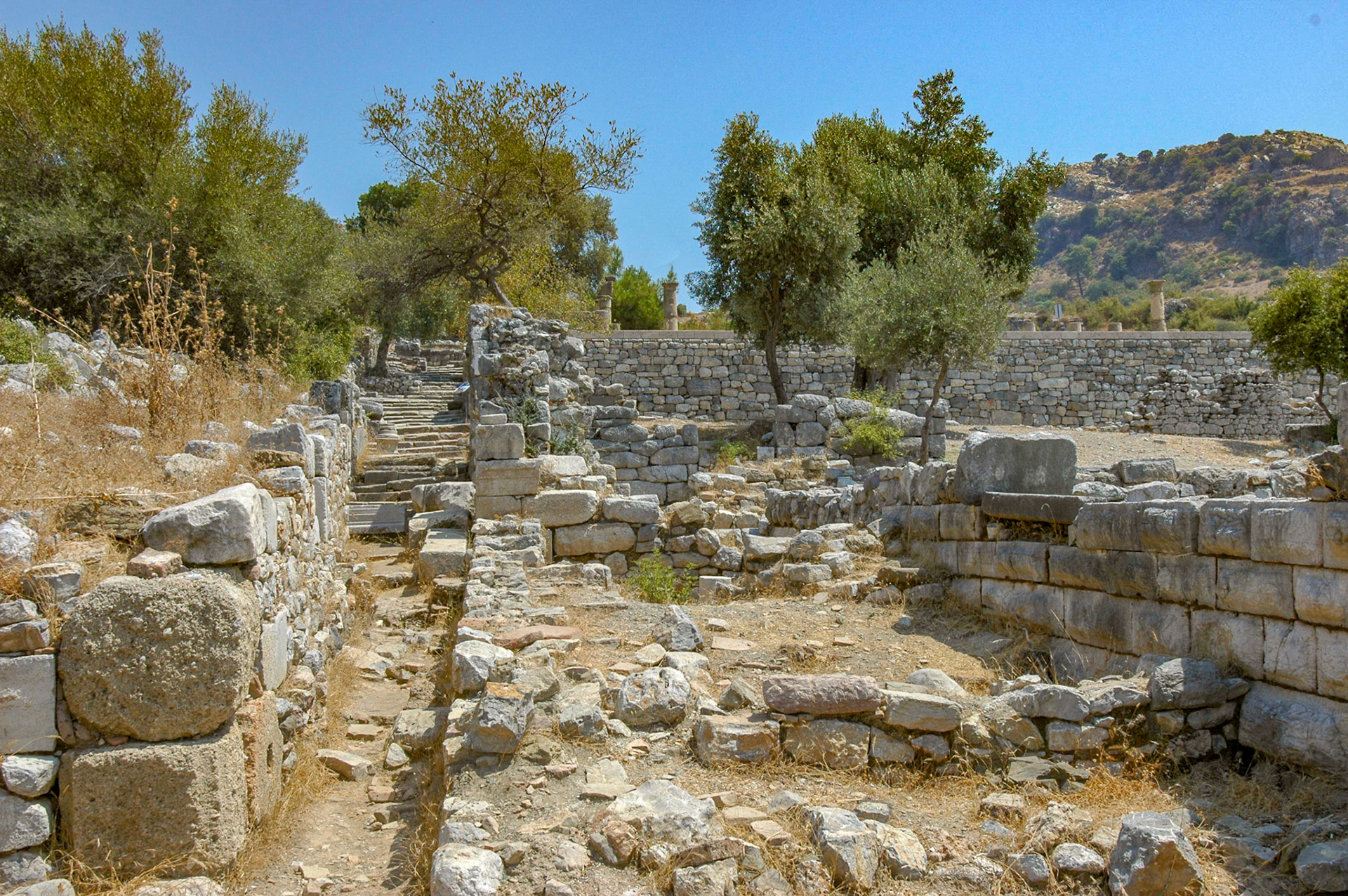 Kaunos