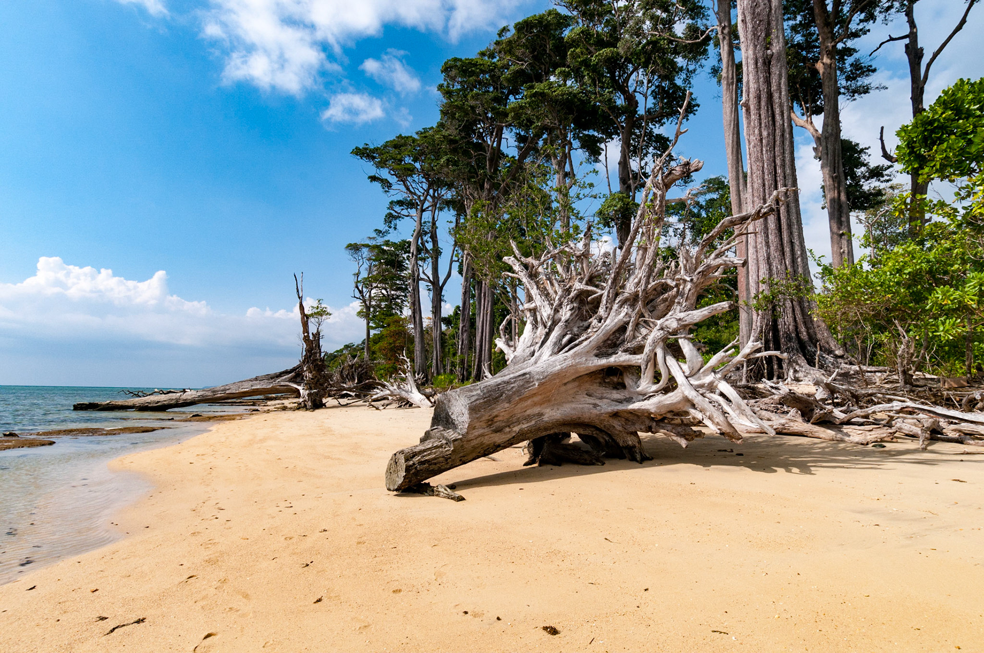 Andamans