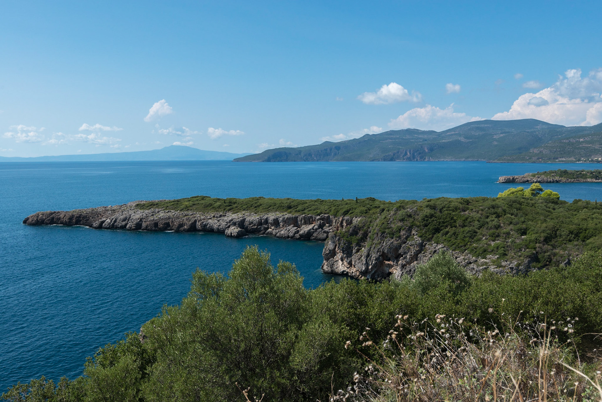 Kardamili